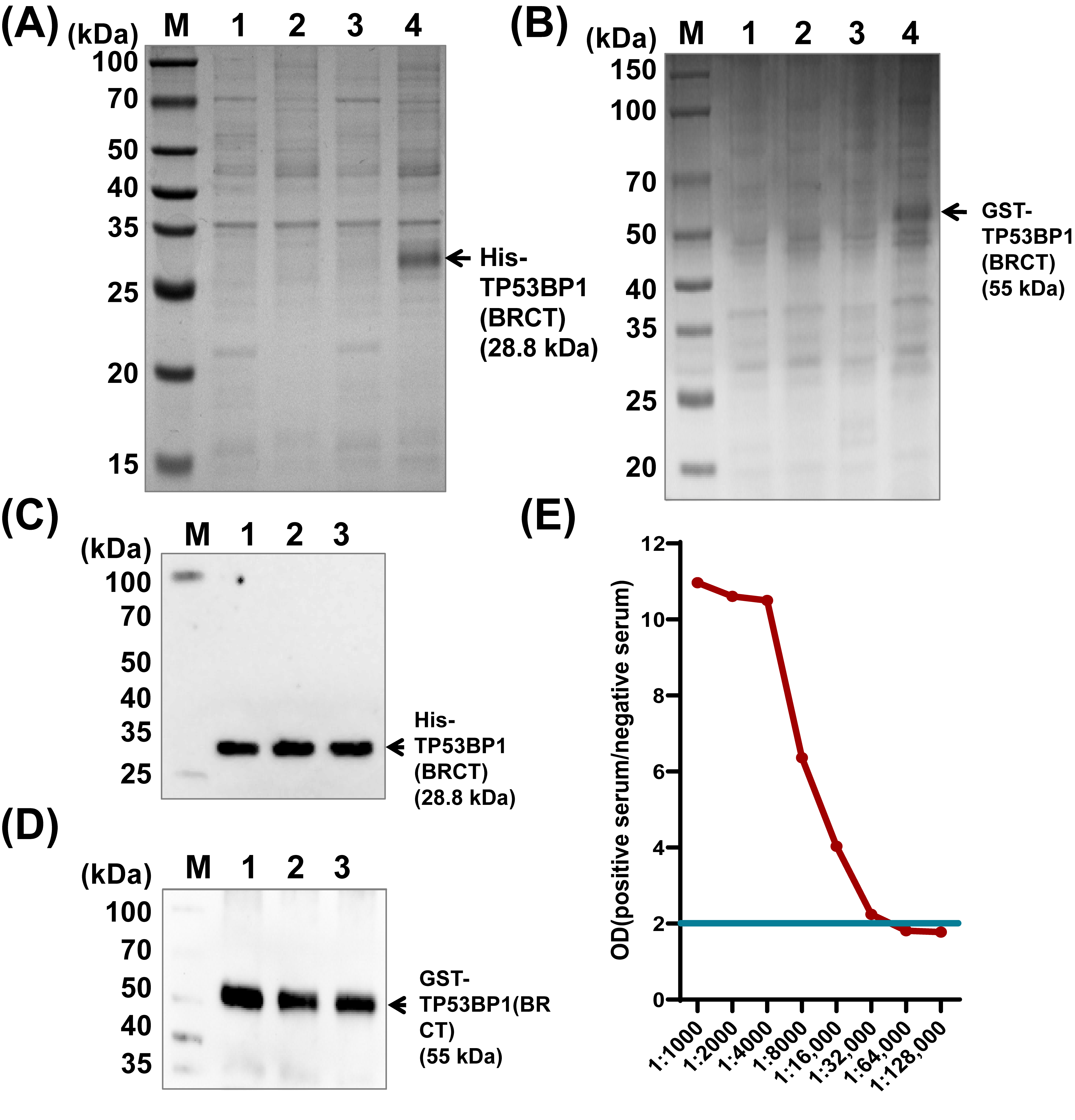 Vetsci 13 00469 g003