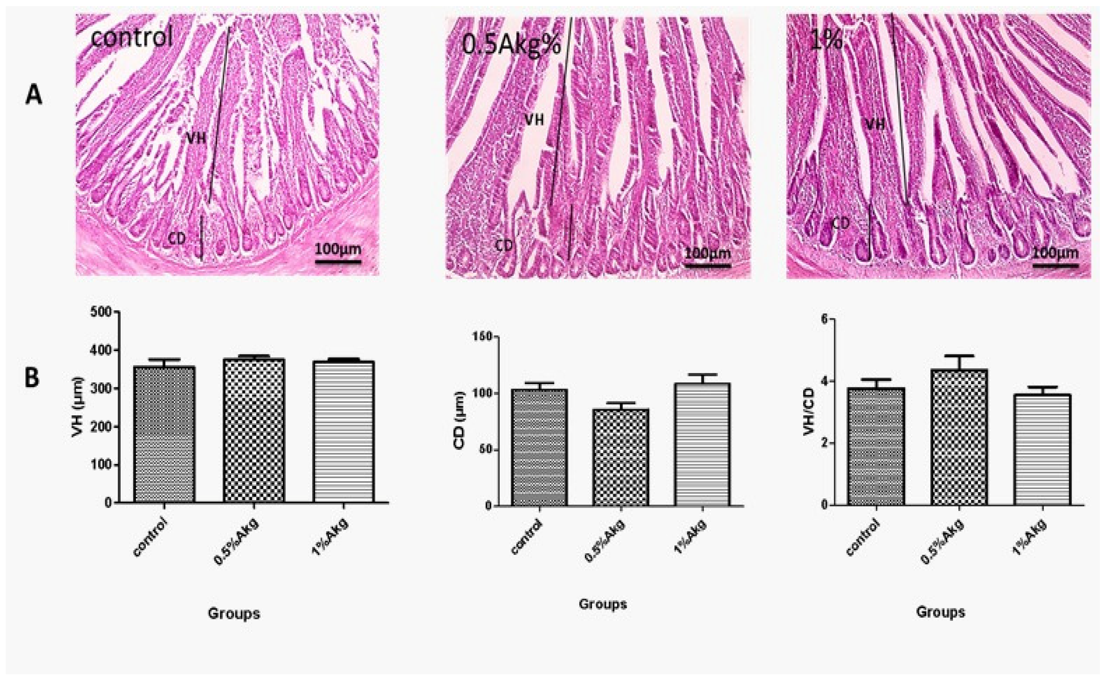 Vetsci 13 00470 g002 Vetsci 13 00470 g002