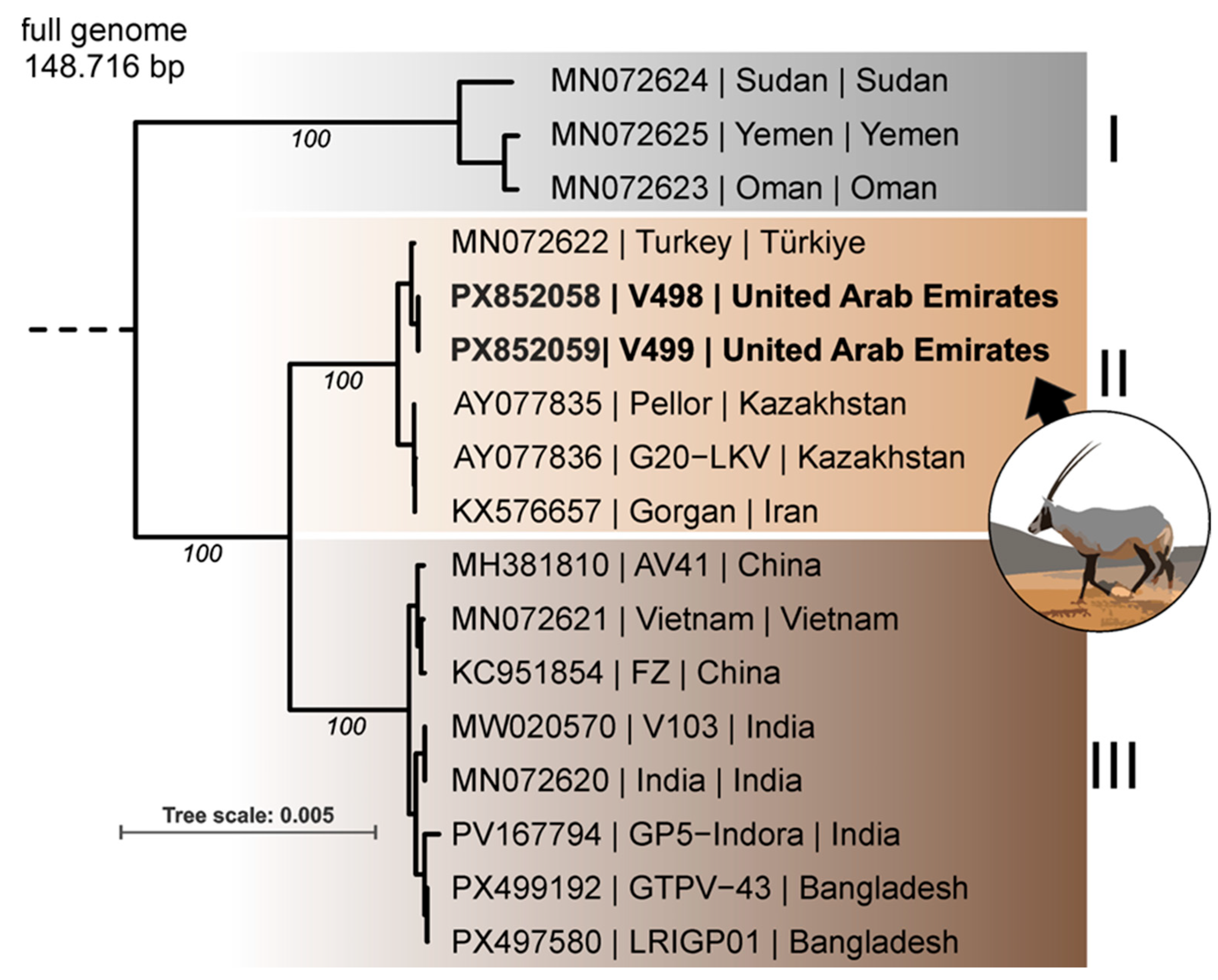 Vetsci 13 00480 g002 Vetsci 13 00480 g002