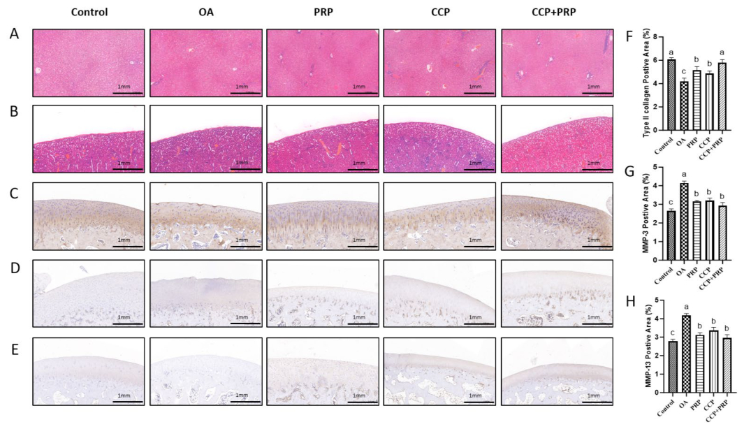 Vetsci 13 00506 g003 Vetsci 13 00506 g003