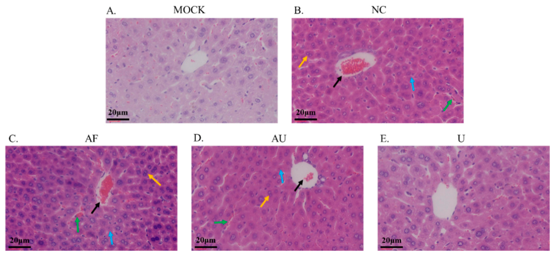Vetsci 13 00621 g002 Vetsci 13 00621 g002