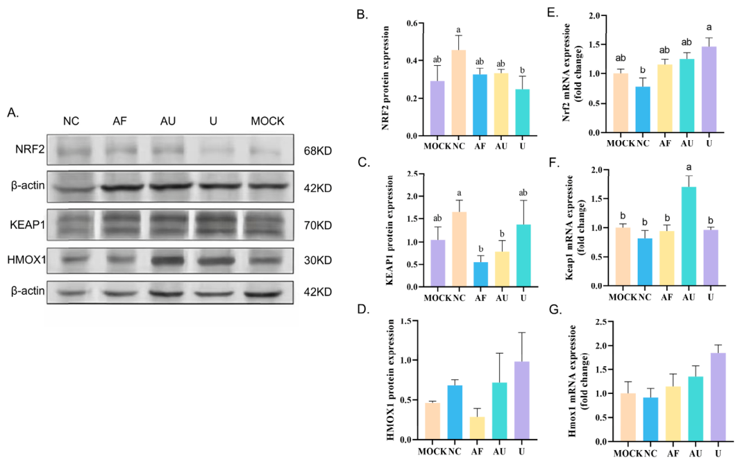 Vetsci 13 00621 g009 Vetsci 13 00621 g009