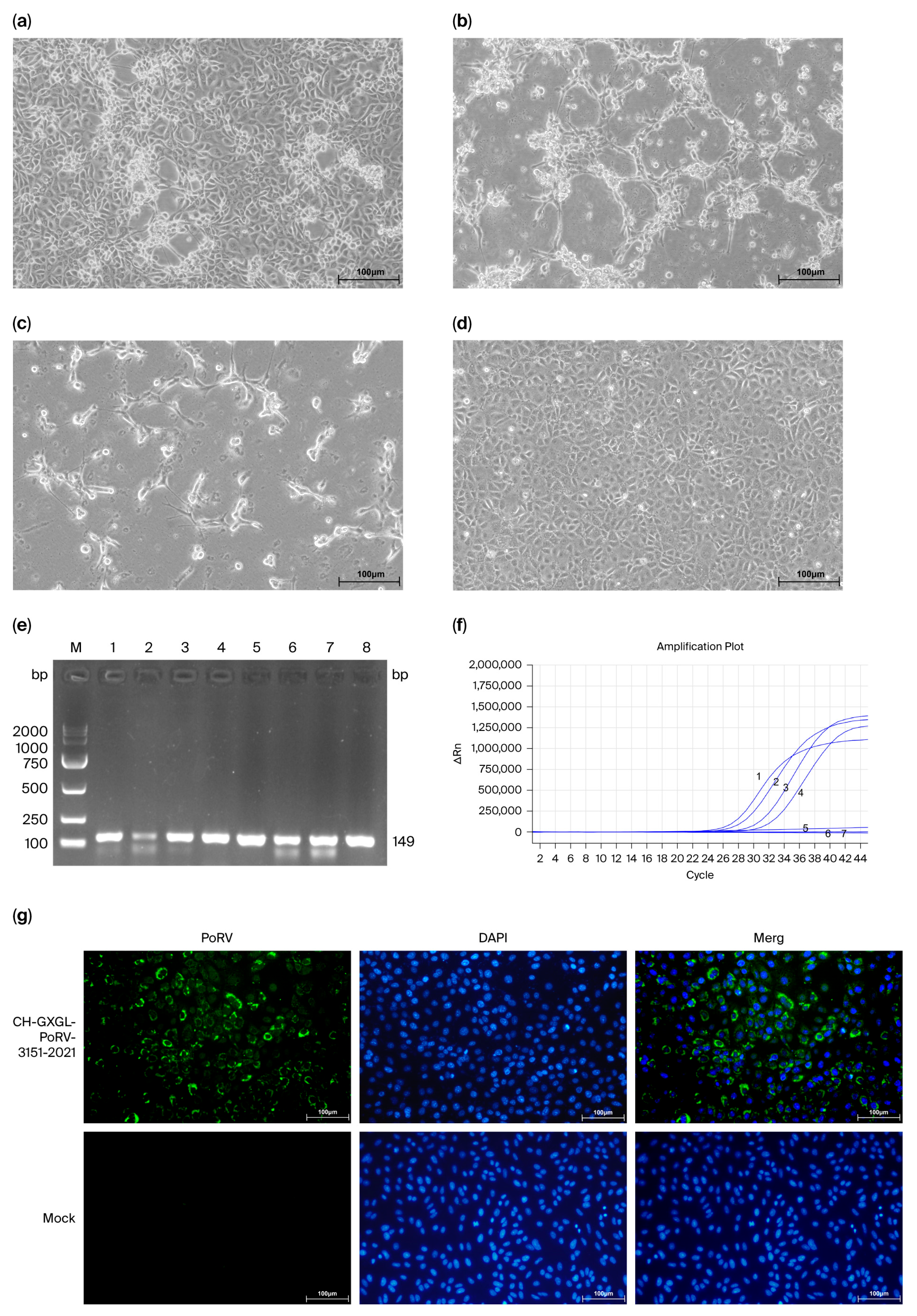 Vetsci 13 00631 g006