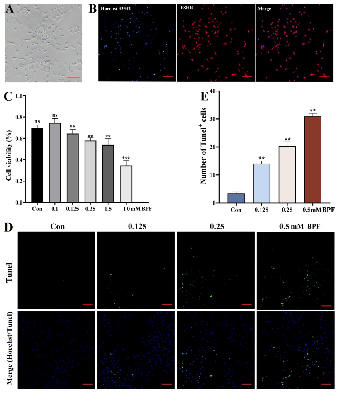 Vetsci 13 00670 g002 Vetsci 13 00670 g002