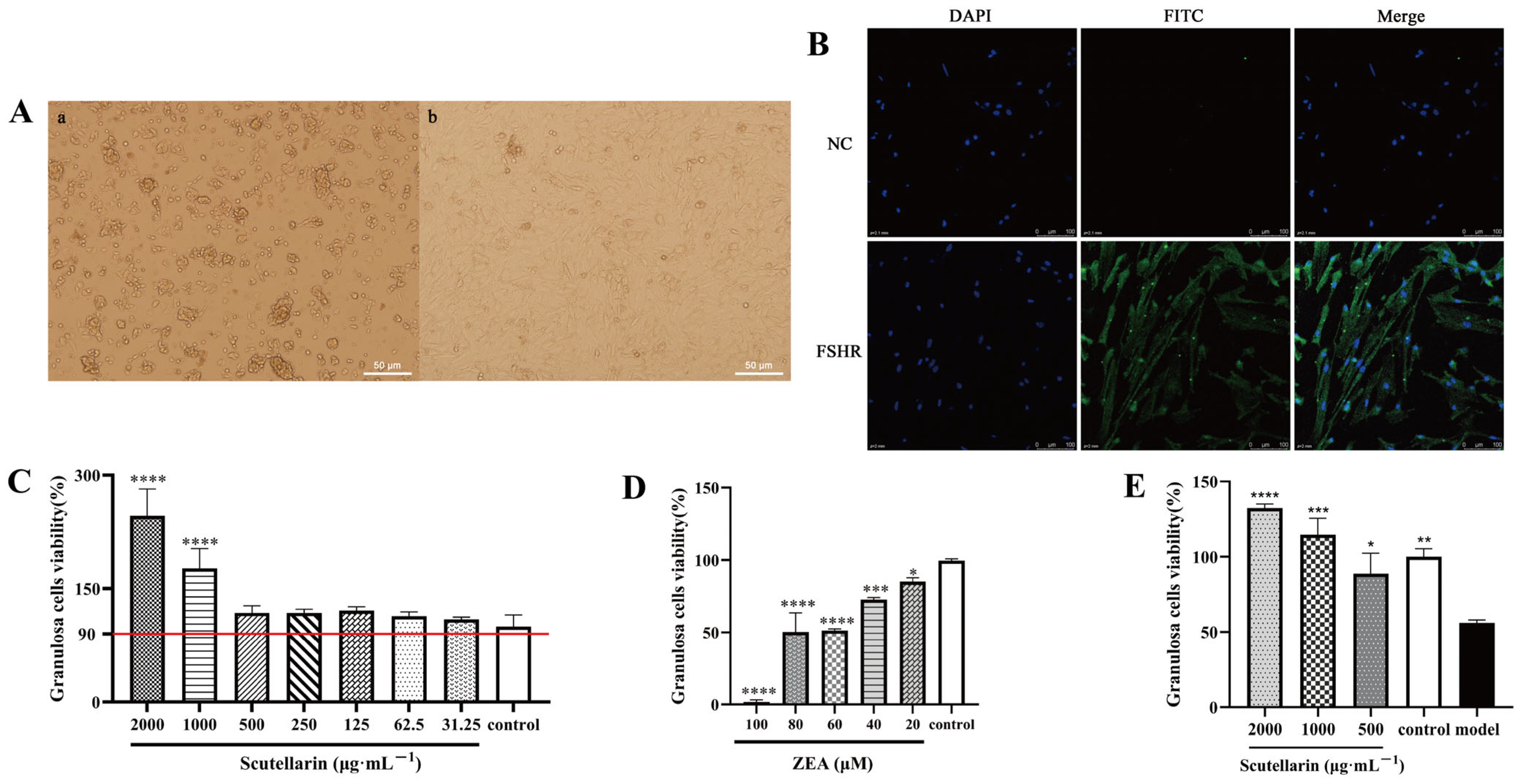 Vetsci 13 00719 g001 Vetsci 13 00719 g001