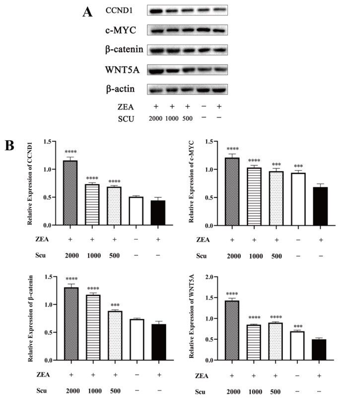 Vetsci 13 00719 g004 Vetsci 13 00719 g004