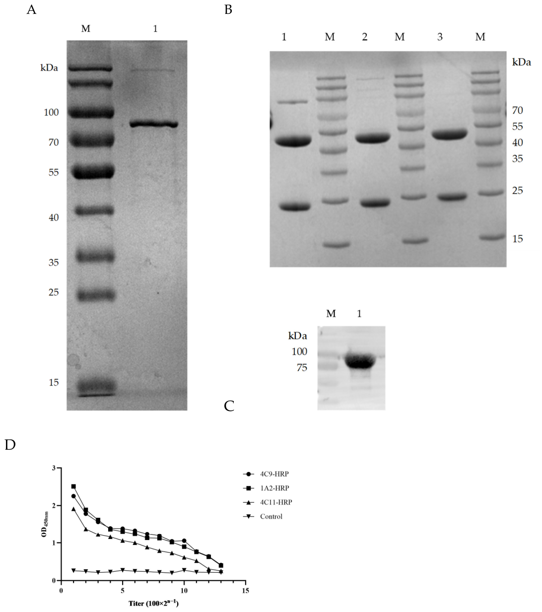 Vetsci 13 00741 g001 Vetsci 13 00741 g001