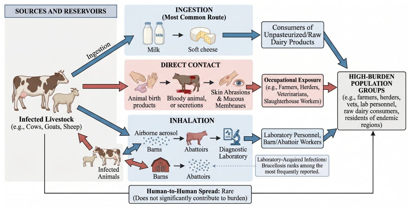 Vetsci 13 00751 g001