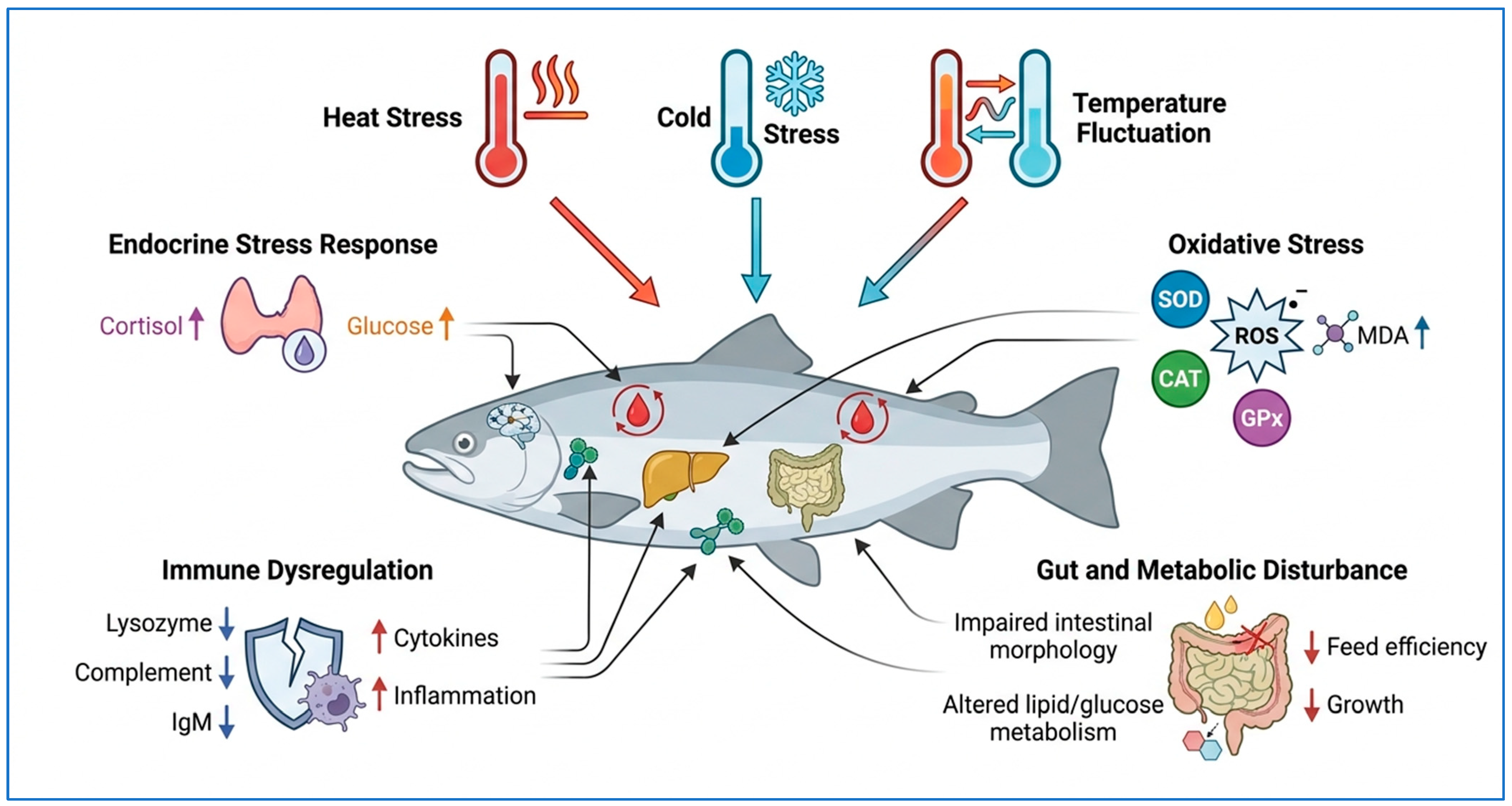 Vetsci 13 00756 g006 Vetsci 13 00756 g006