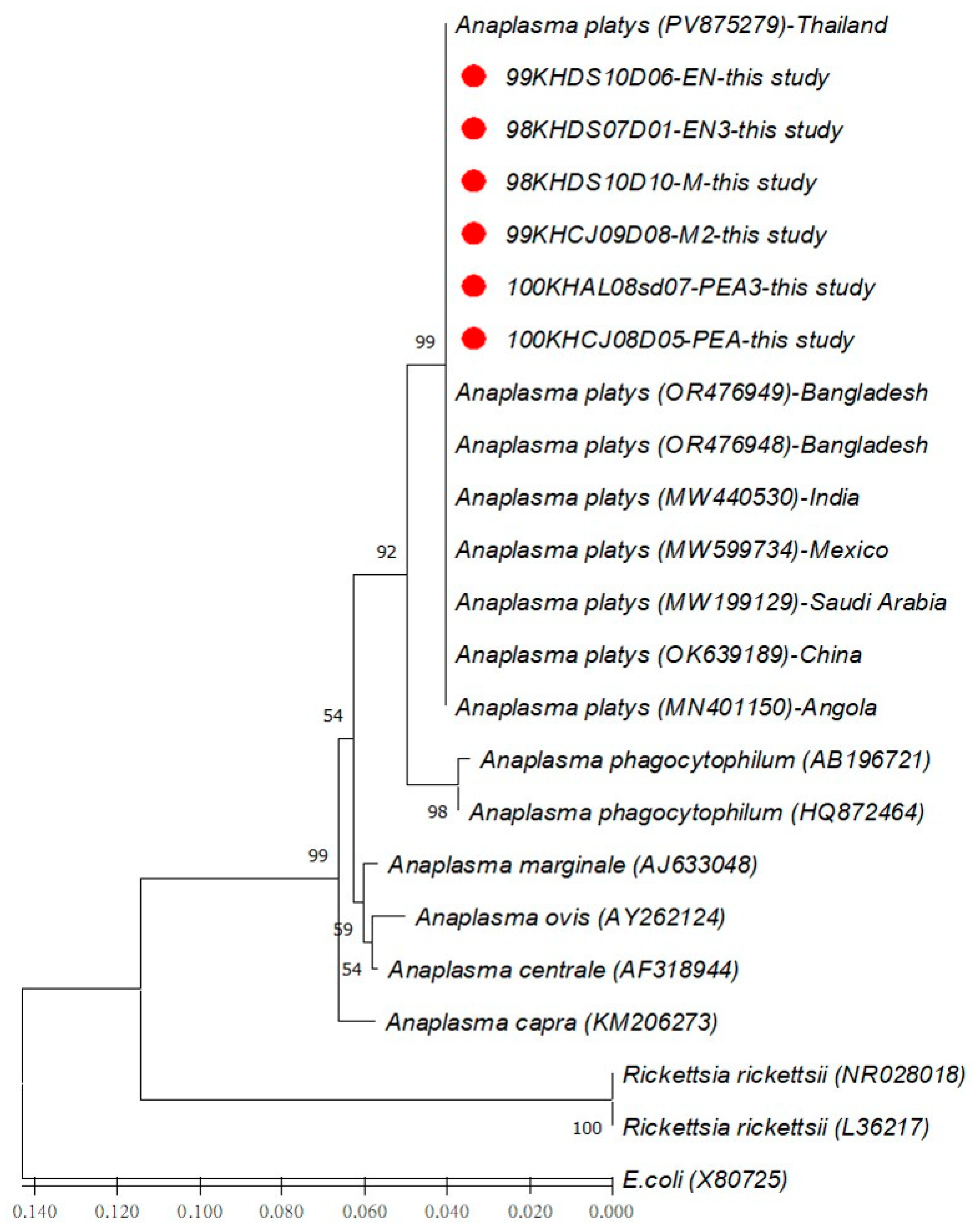 Vetsci 13 00759 g003