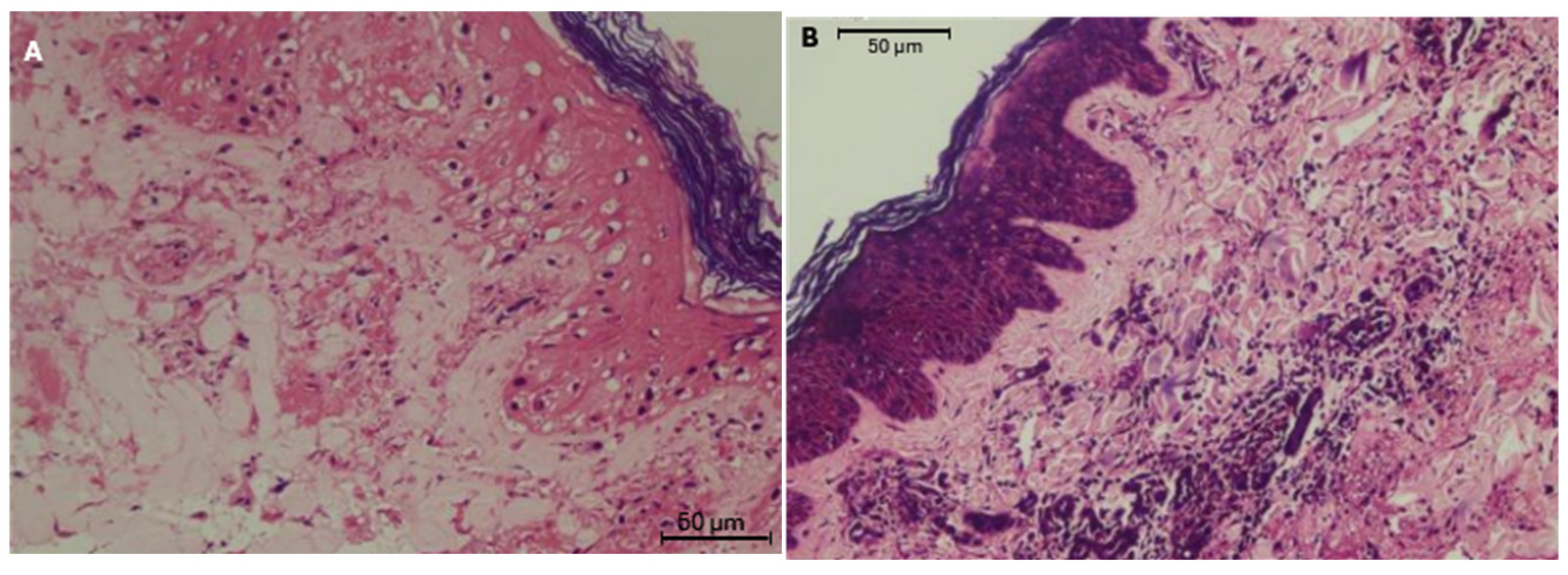Vetsci 13 00824 g003 Vetsci 13 00824 g003