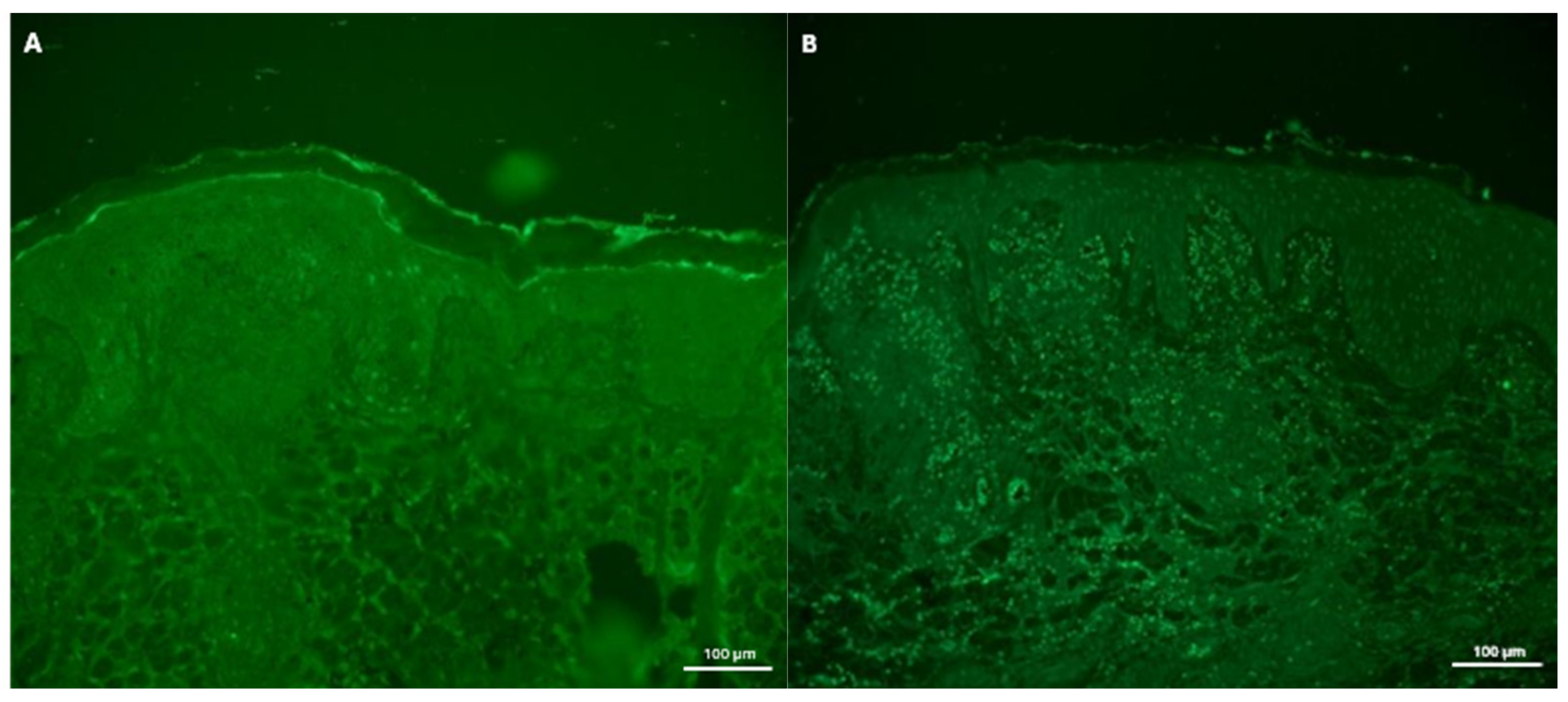 Vetsci 13 00824 g004 Vetsci 13 00824 g004