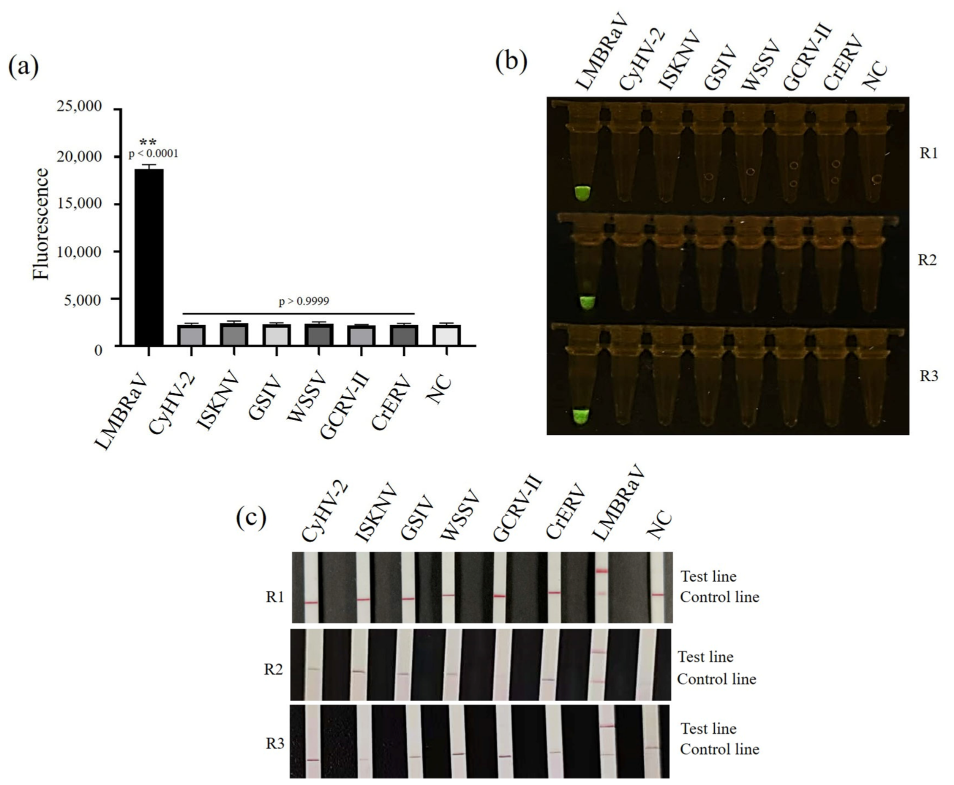 Vetsci 13 00825 g003 Vetsci 13 00825 g003