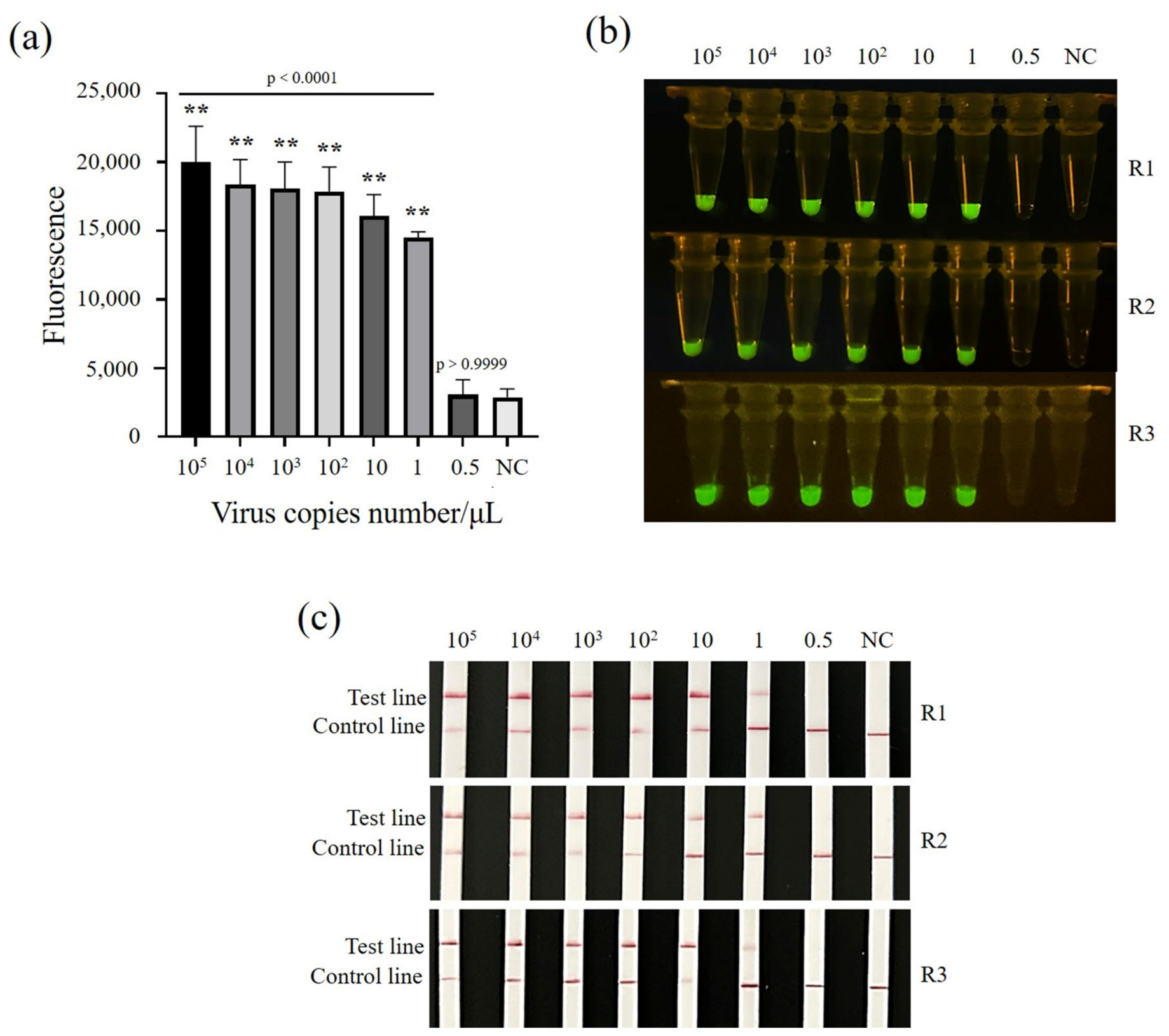 Vetsci 13 00825 g004 Vetsci 13 00825 g004