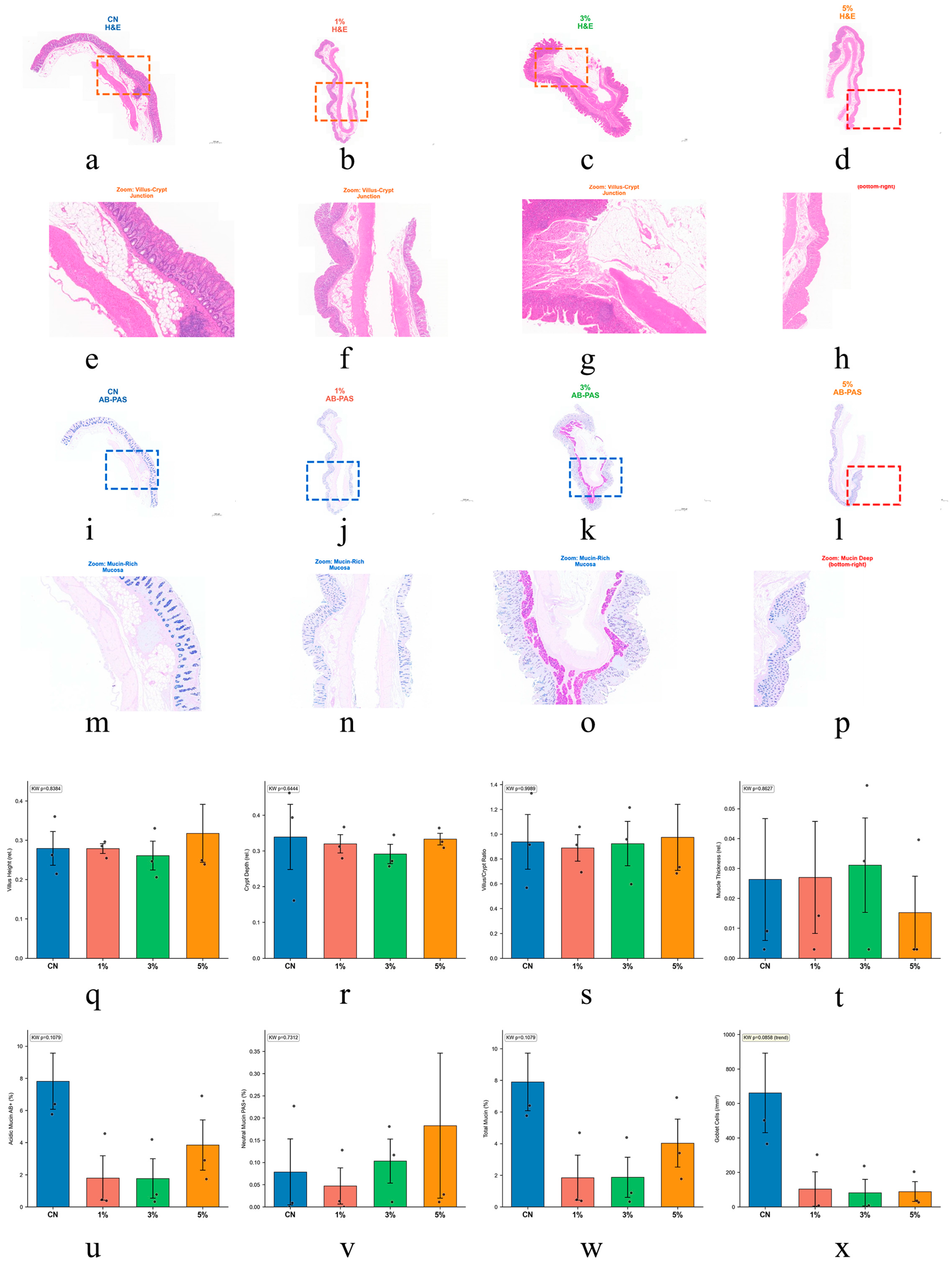 Vetsci 13 00826 g002 Vetsci 13 00826 g002