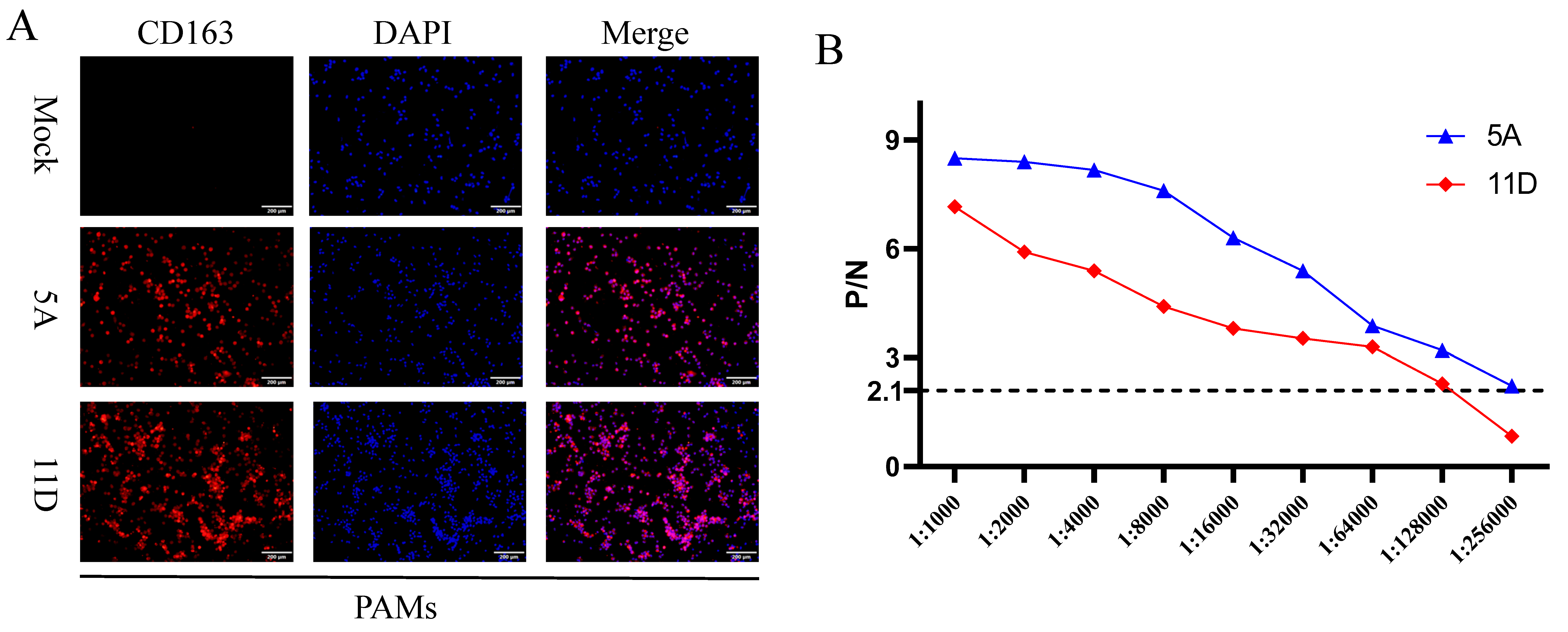 Vetsci 13 00835 g002 Vetsci 13 00835 g002