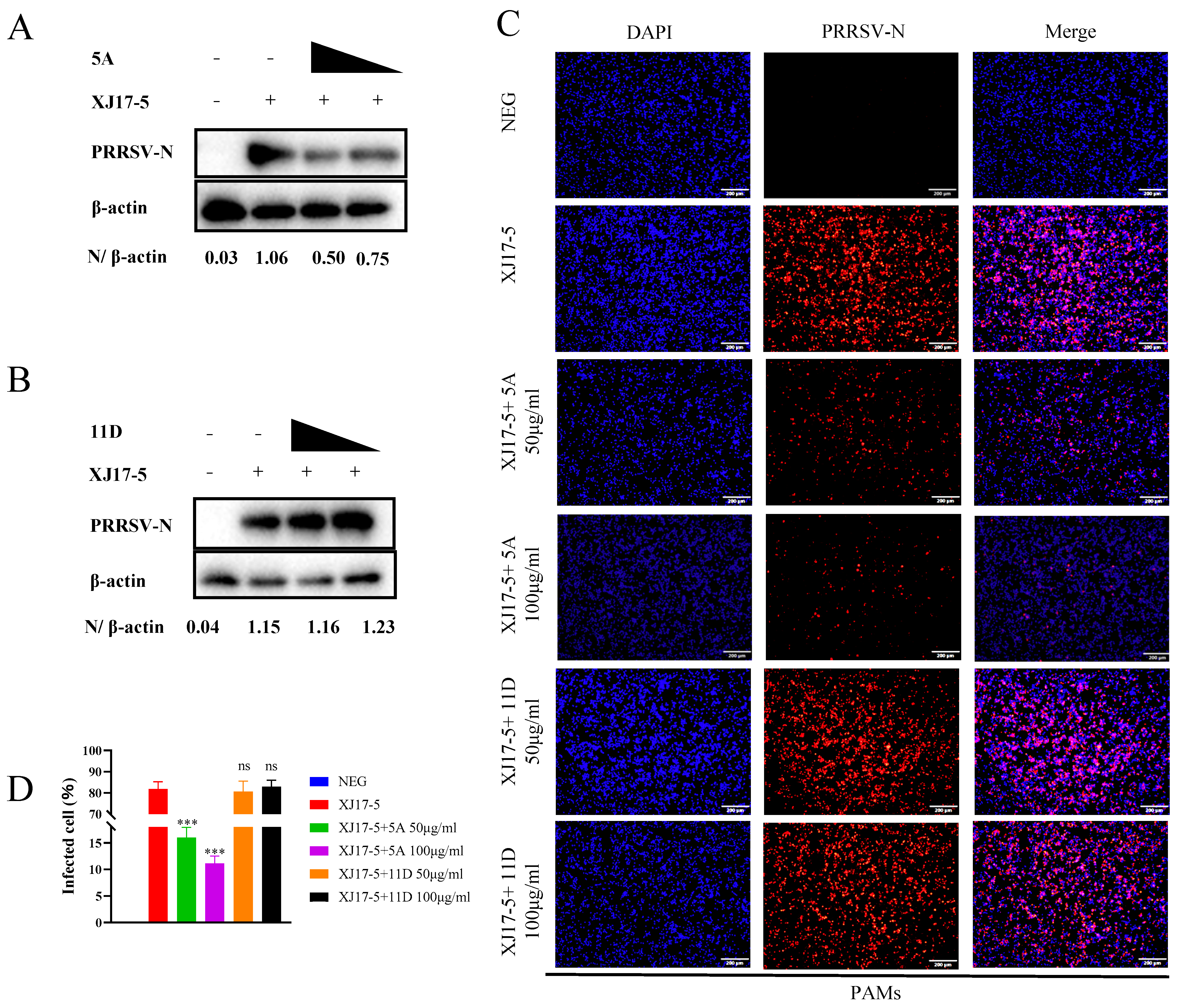 Vetsci 13 00835 g006 Vetsci 13 00835 g006