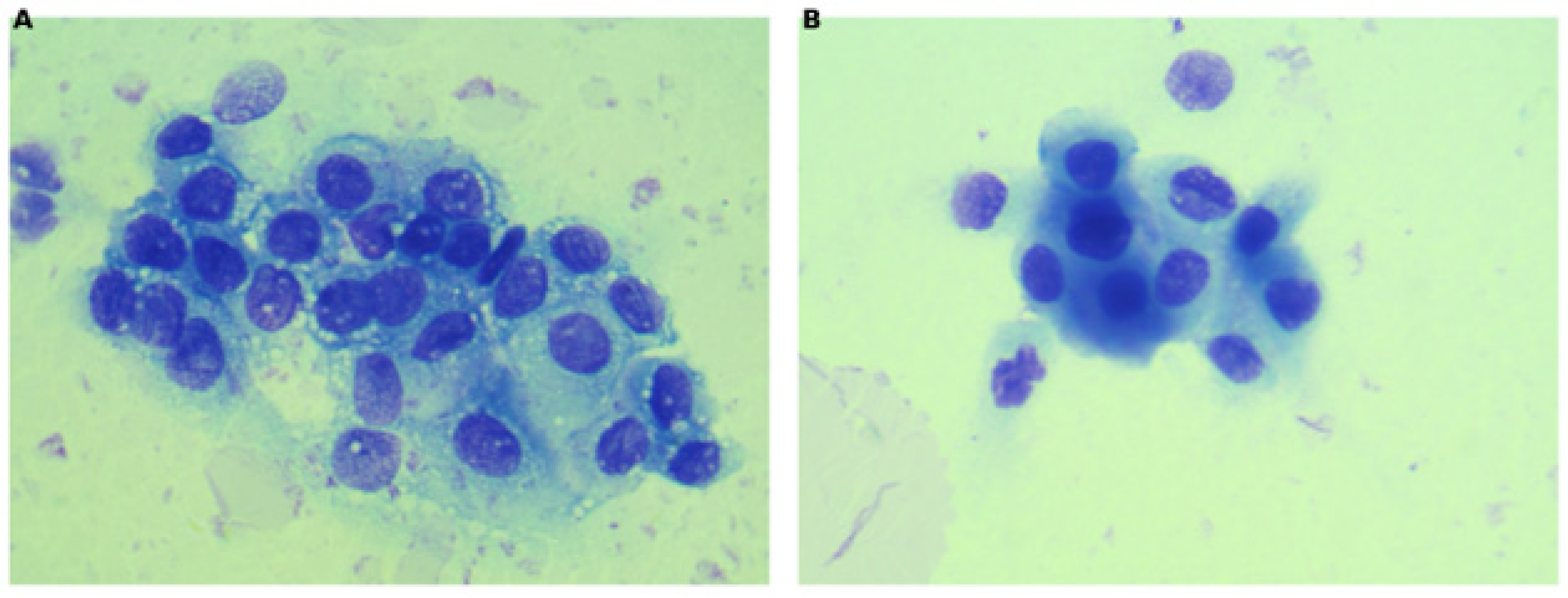 Vetsci 13 00878 g001 Vetsci 13 00878 g001