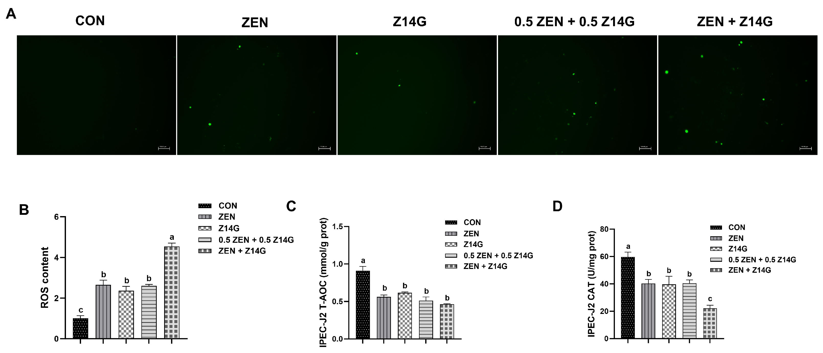 Vetsci 13 00885 g005