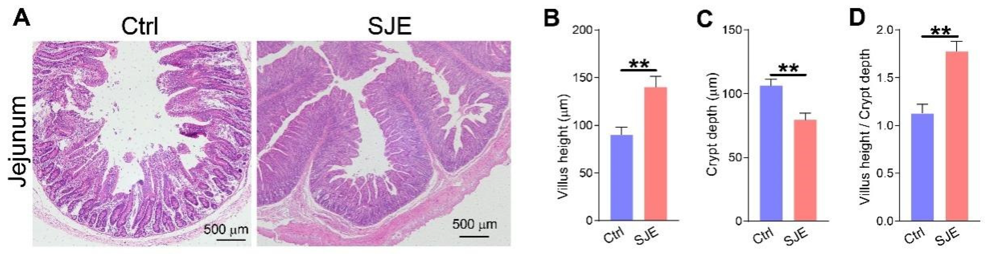 Vetsci 13 00887 g001 Vetsci 13 00887 g001