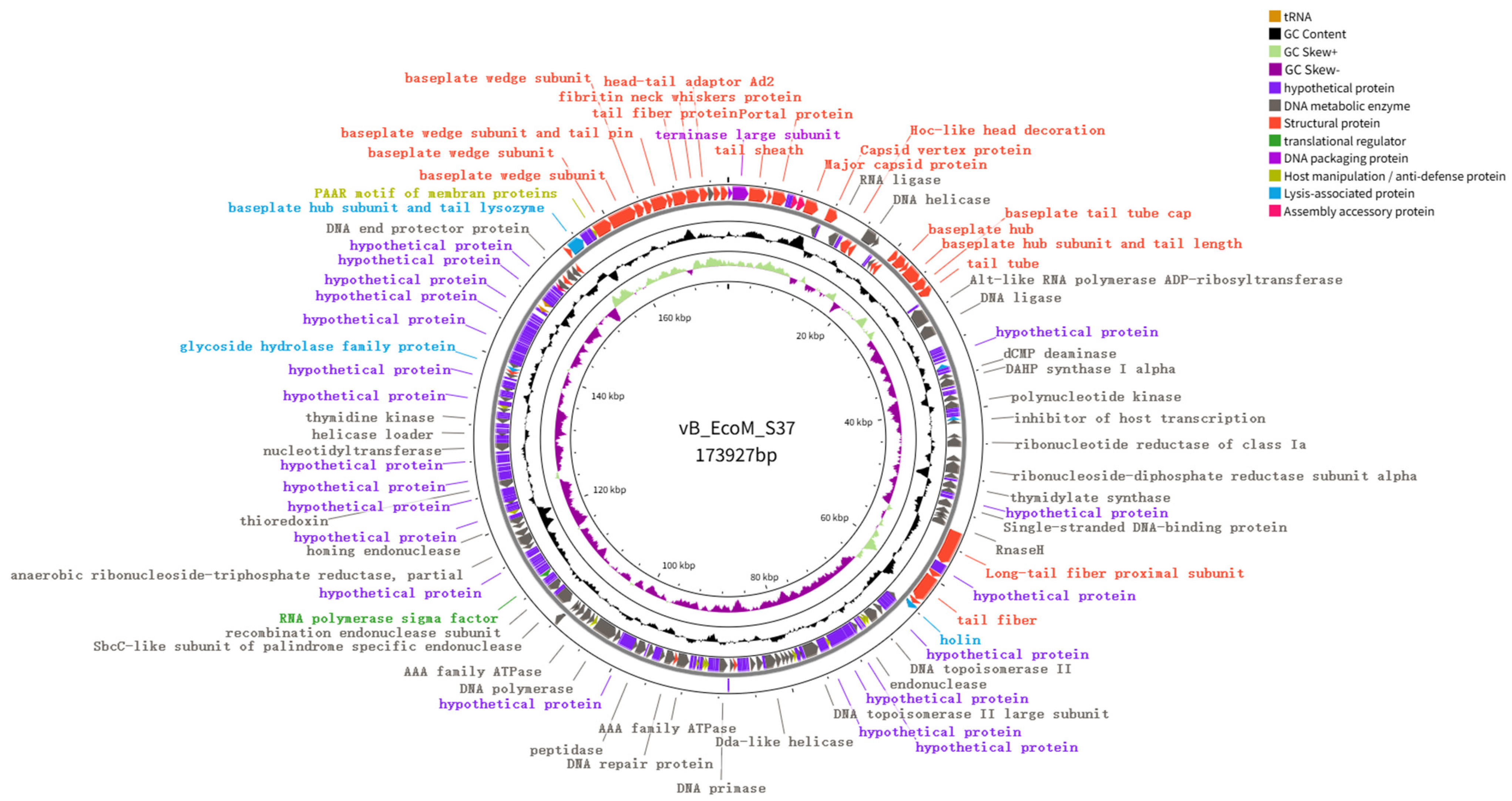 Vetsci 13 00943 g006 Vetsci 13 00943 g006