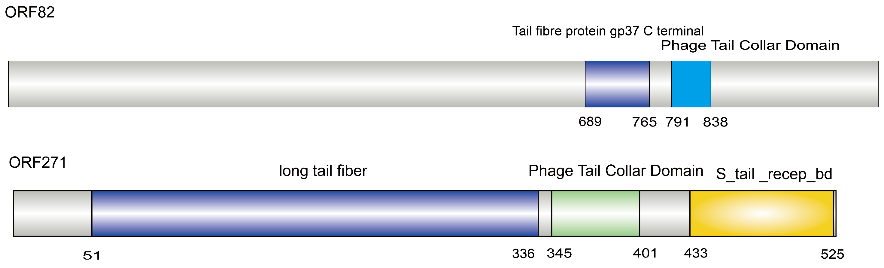 Vetsci 13 00943 g012 Vetsci 13 00943 g012