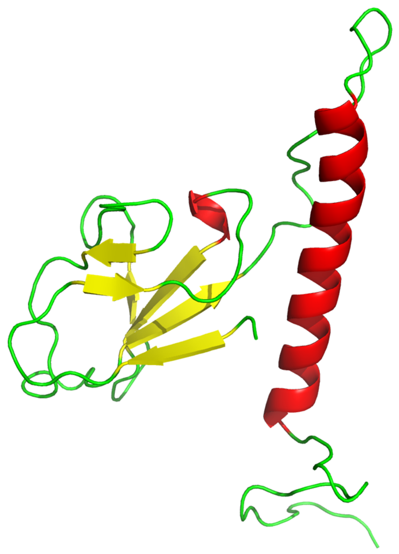 Vetsci 13 00943 g017 Vetsci 13 00943 g017