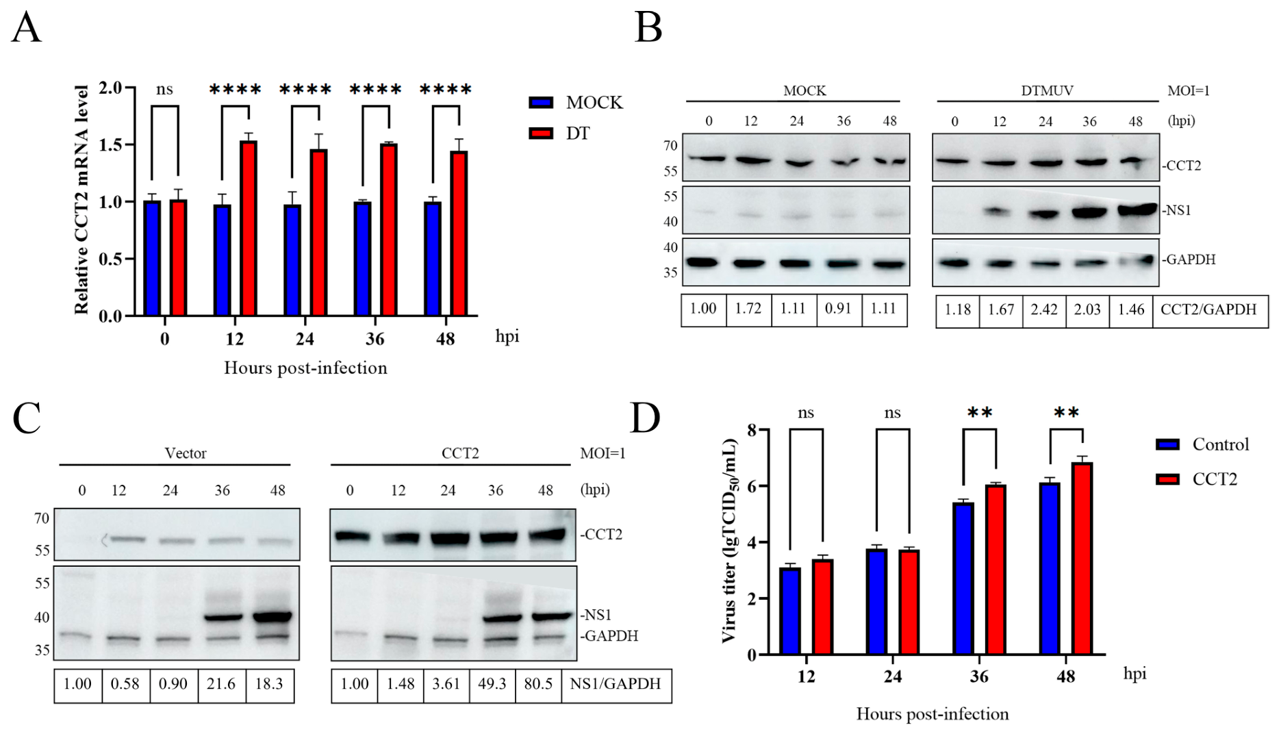 Vetsci 13 00979 g003 Vetsci 13 00979 g003