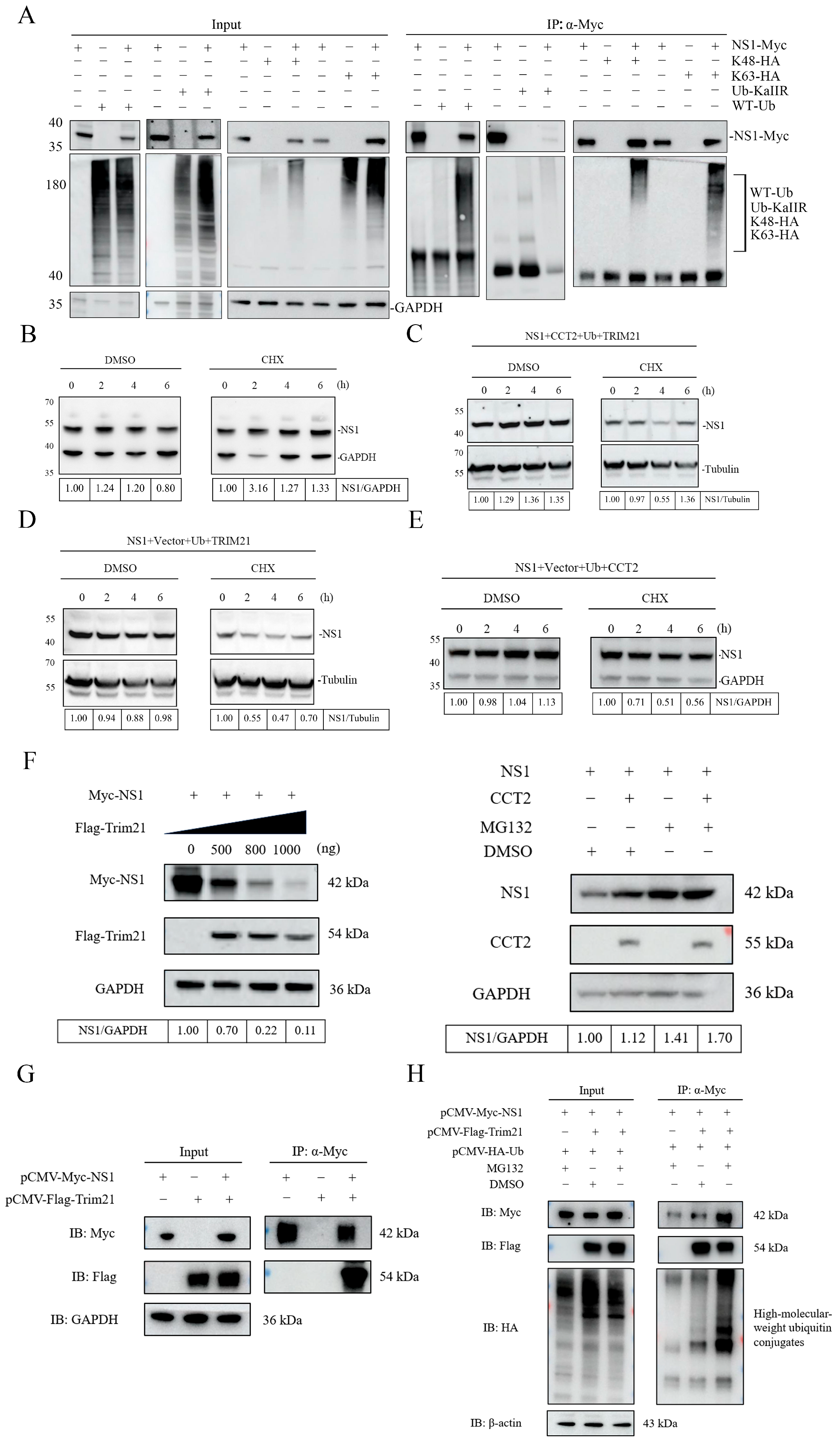 Vetsci 13 00979 g005 Vetsci 13 00979 g005