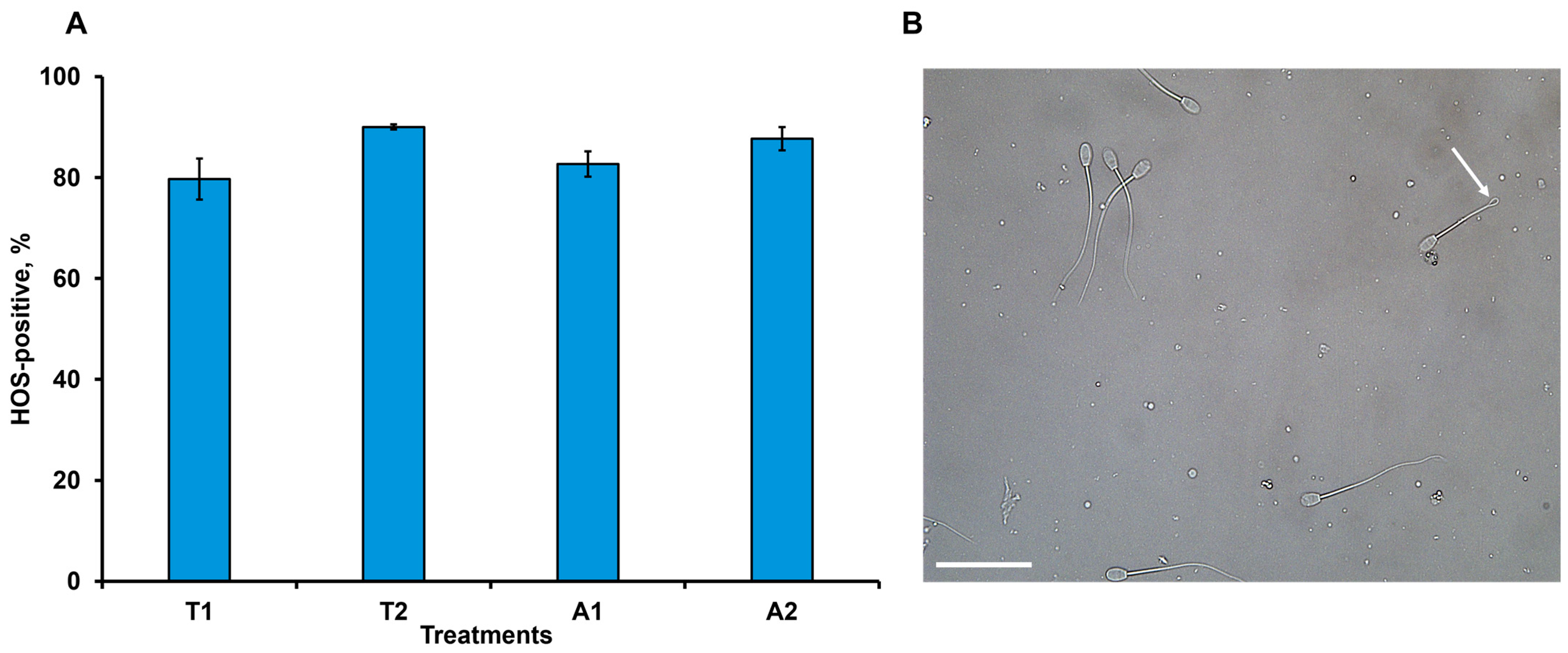 Vetsci 13 00991 g003 Vetsci 13 00991 g003