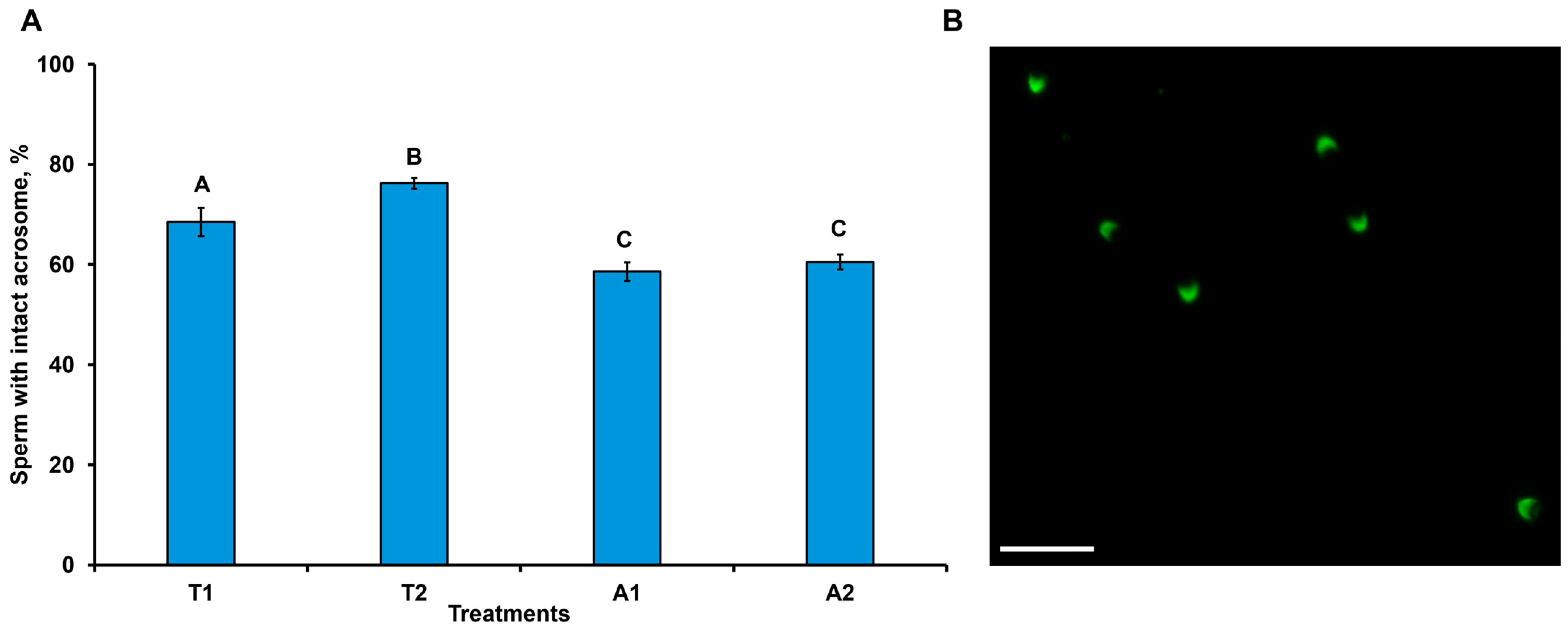 Vetsci 13 00991 g004 Vetsci 13 00991 g004