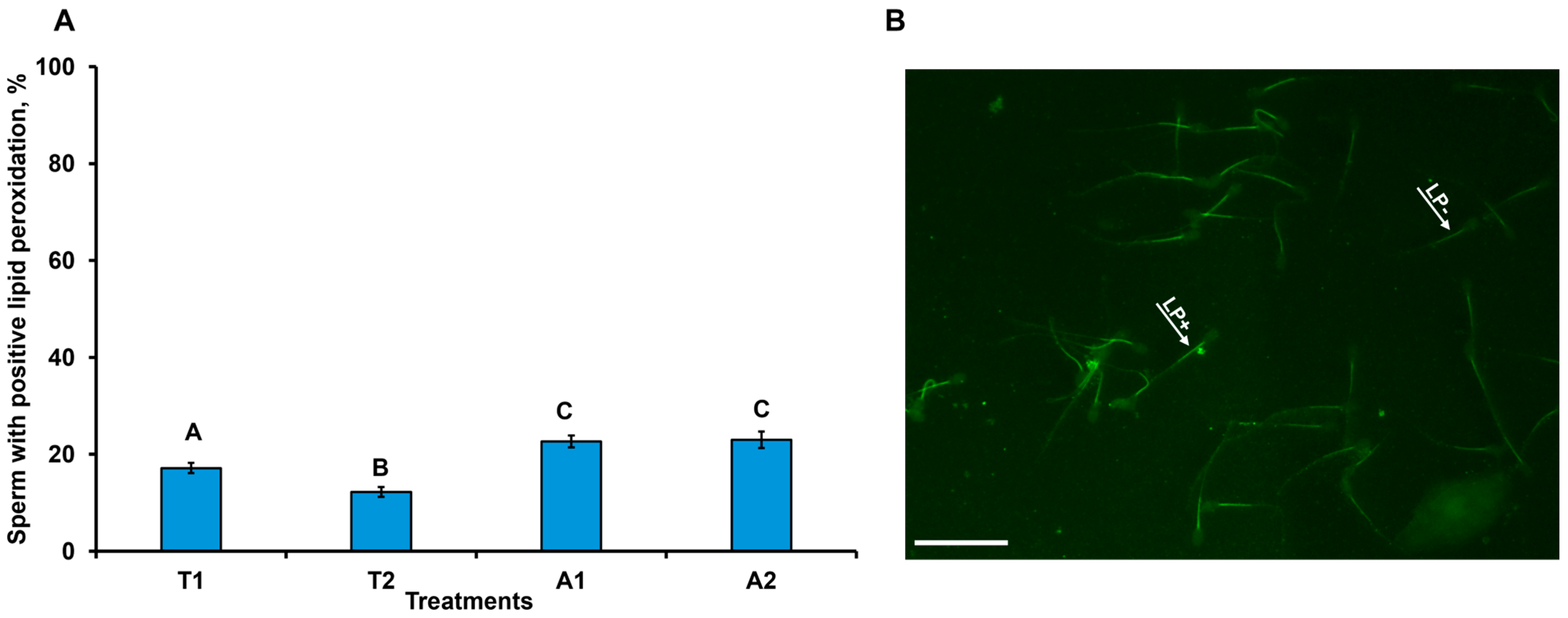 Vetsci 13 00991 g006 Vetsci 13 00991 g006