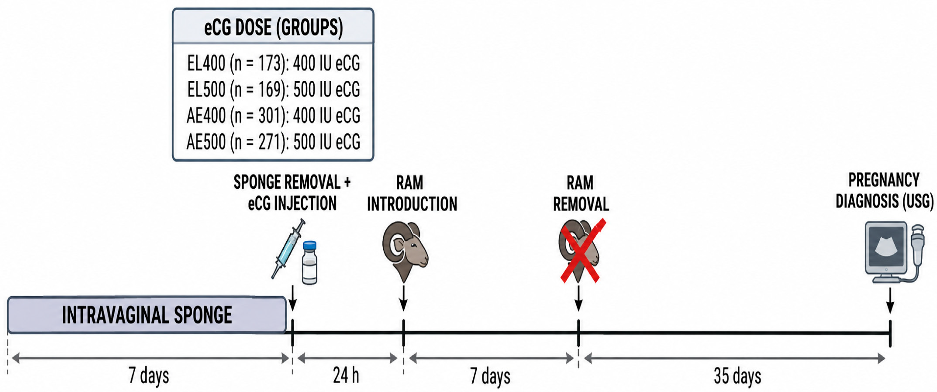 Vetsci 13 00992 g001 Vetsci 13 00992 g001