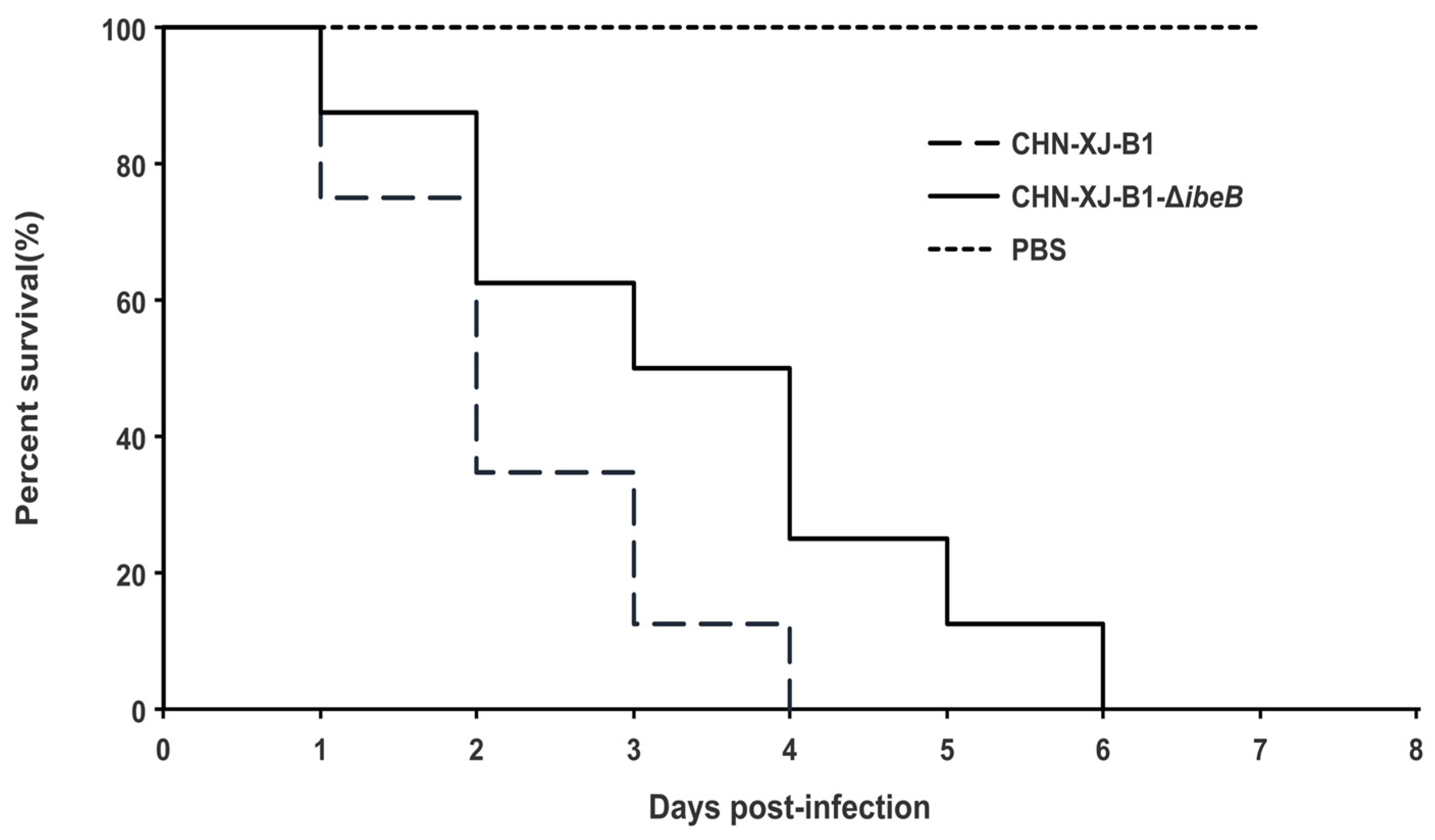 Meningoencephalitis in Neonatal Calves Caused by Rare O161 Serotype ...