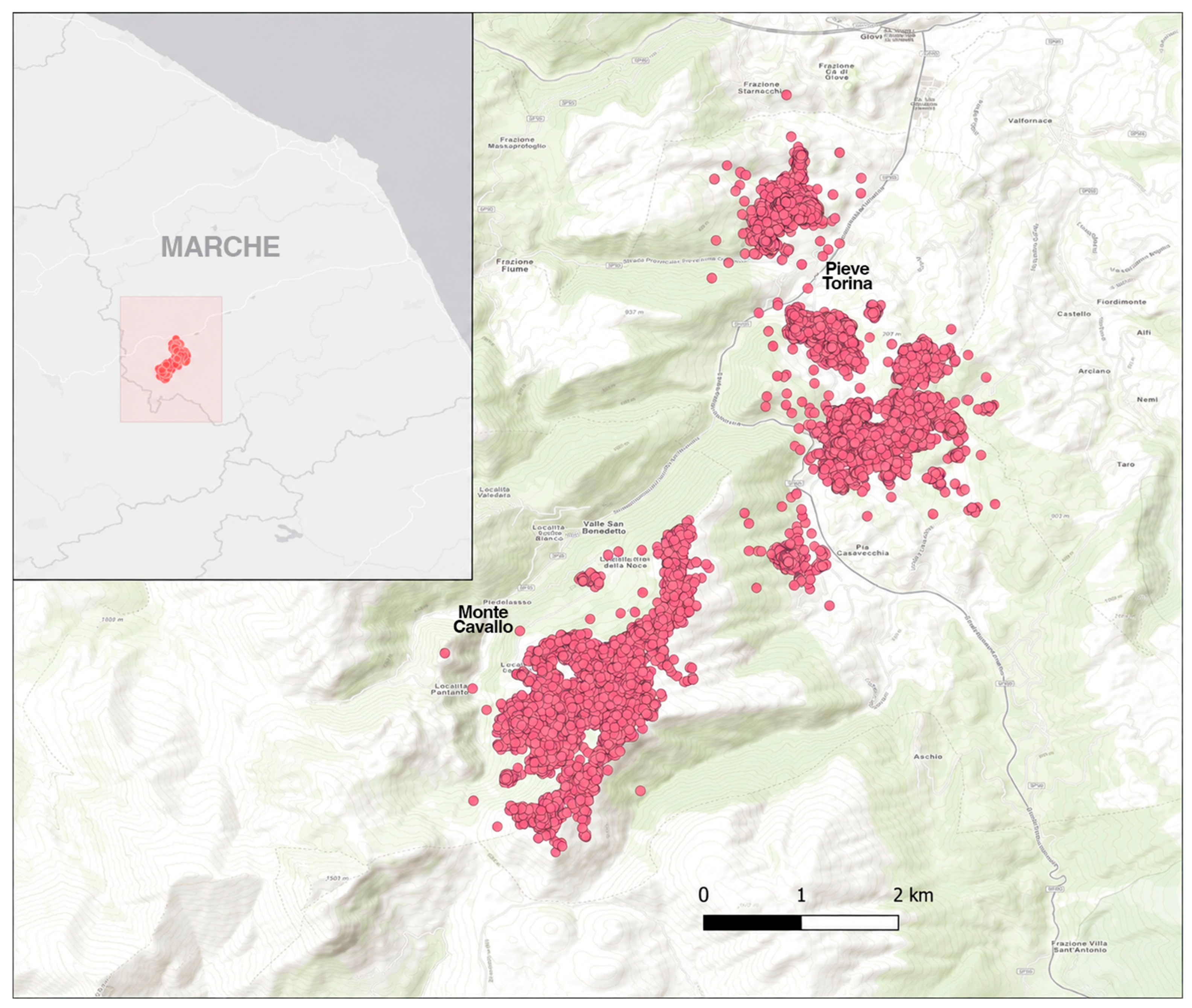 Vetsci 13 01082 g001 Vetsci 13 01082 g001