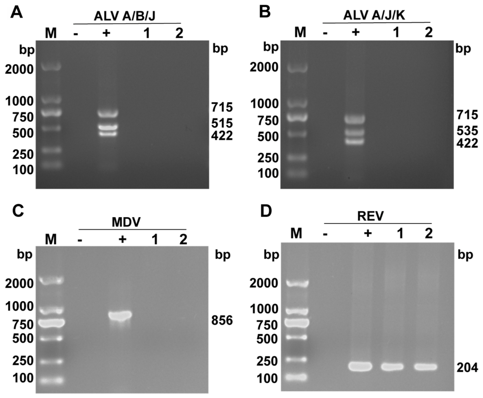 Vetsci 13 01084 g003 Vetsci 13 01084 g003