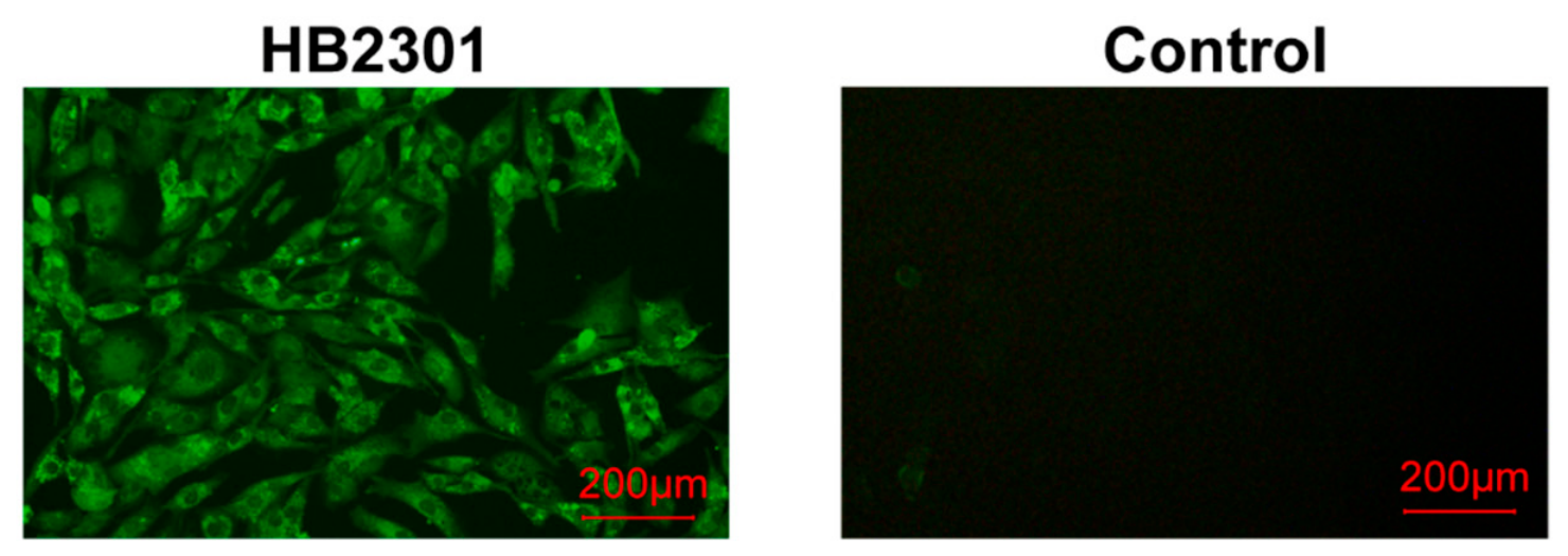 Vetsci 13 01084 g004 Vetsci 13 01084 g004
