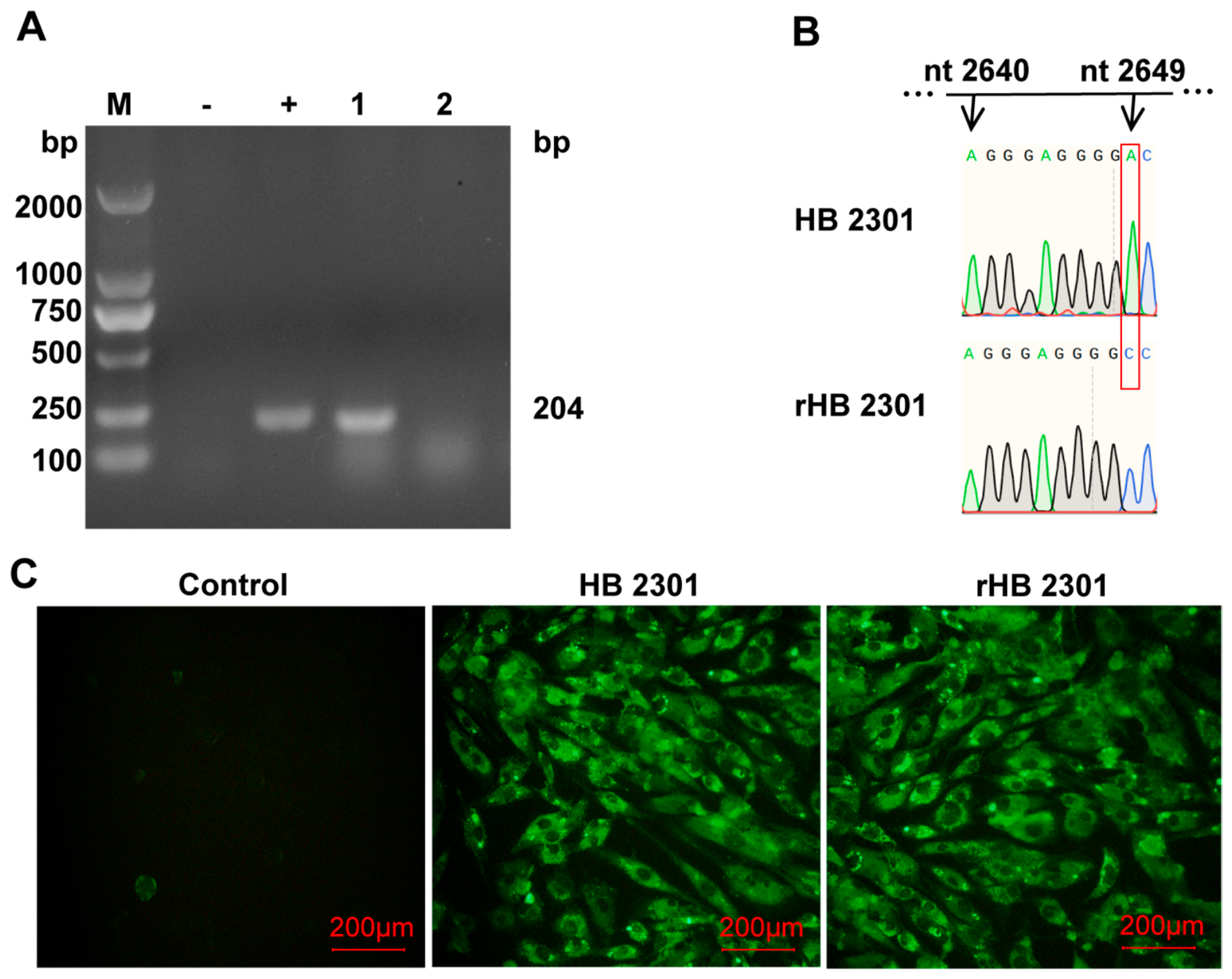 Vetsci 13 01084 g007 Vetsci 13 01084 g007