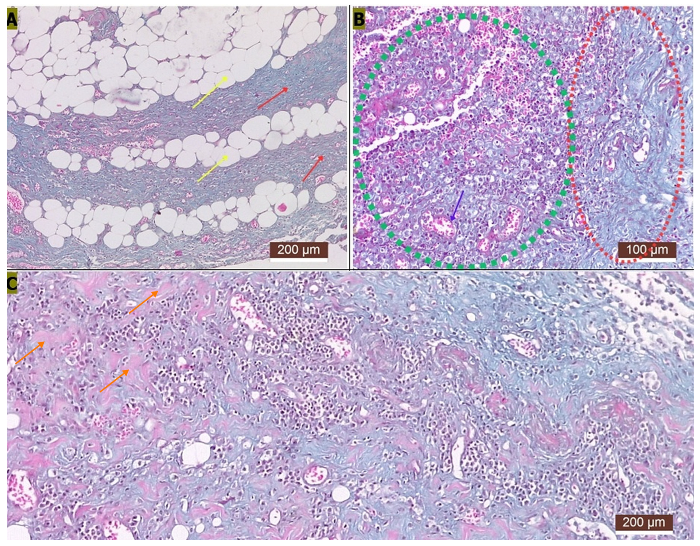 Vetsci 13 01101 g005 Vetsci 13 01101 g005