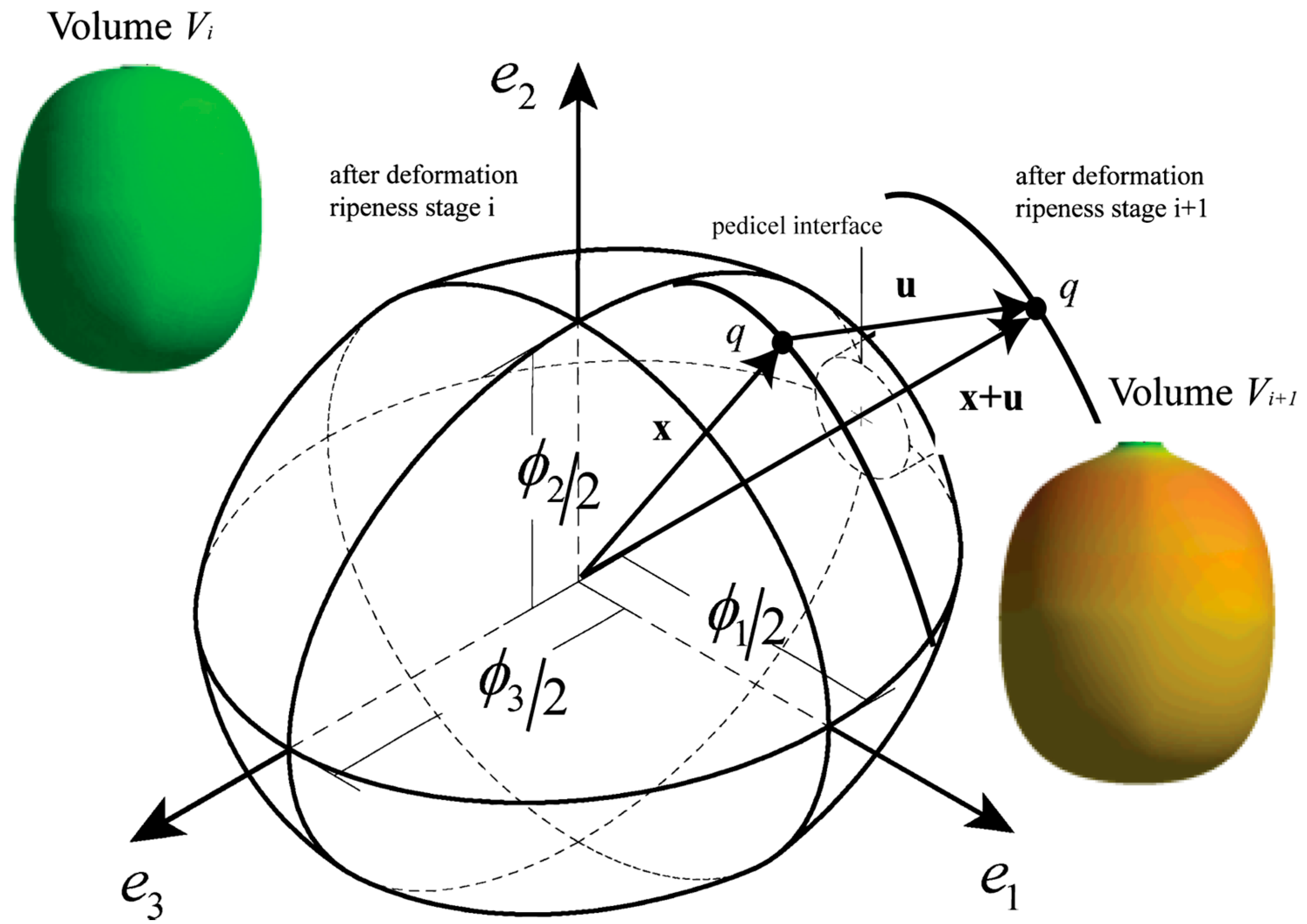 Vibration 01 00015 g001