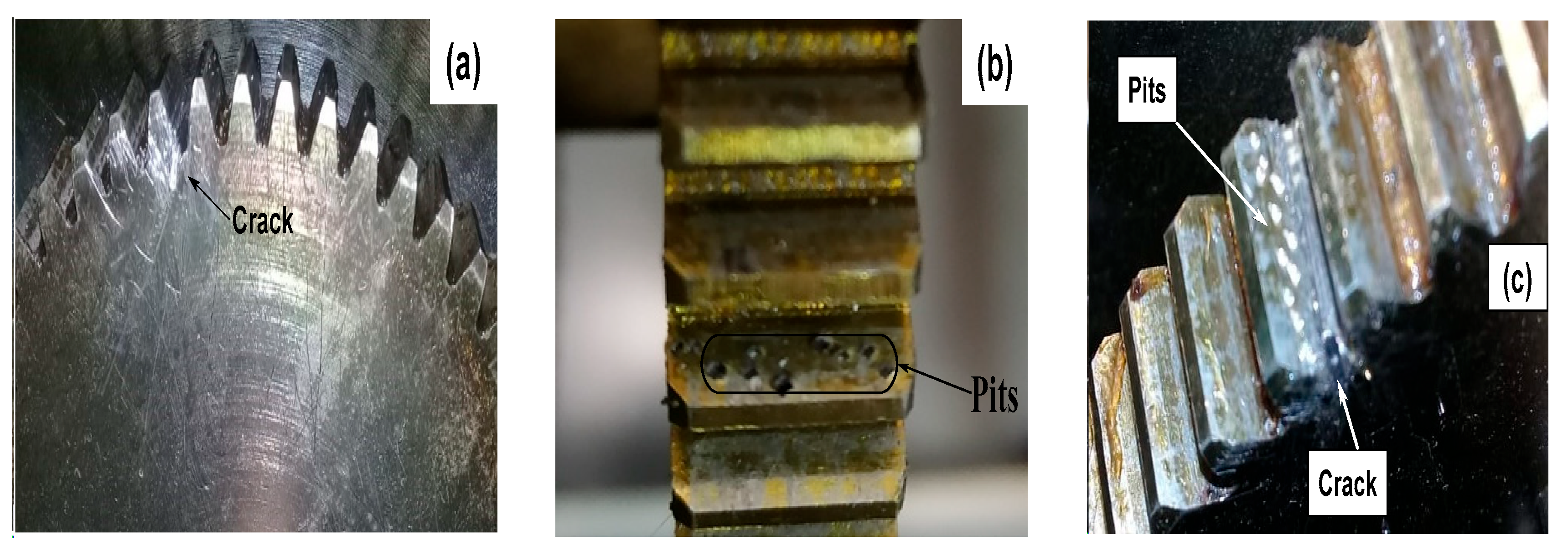 Vibration 06 00013 g013