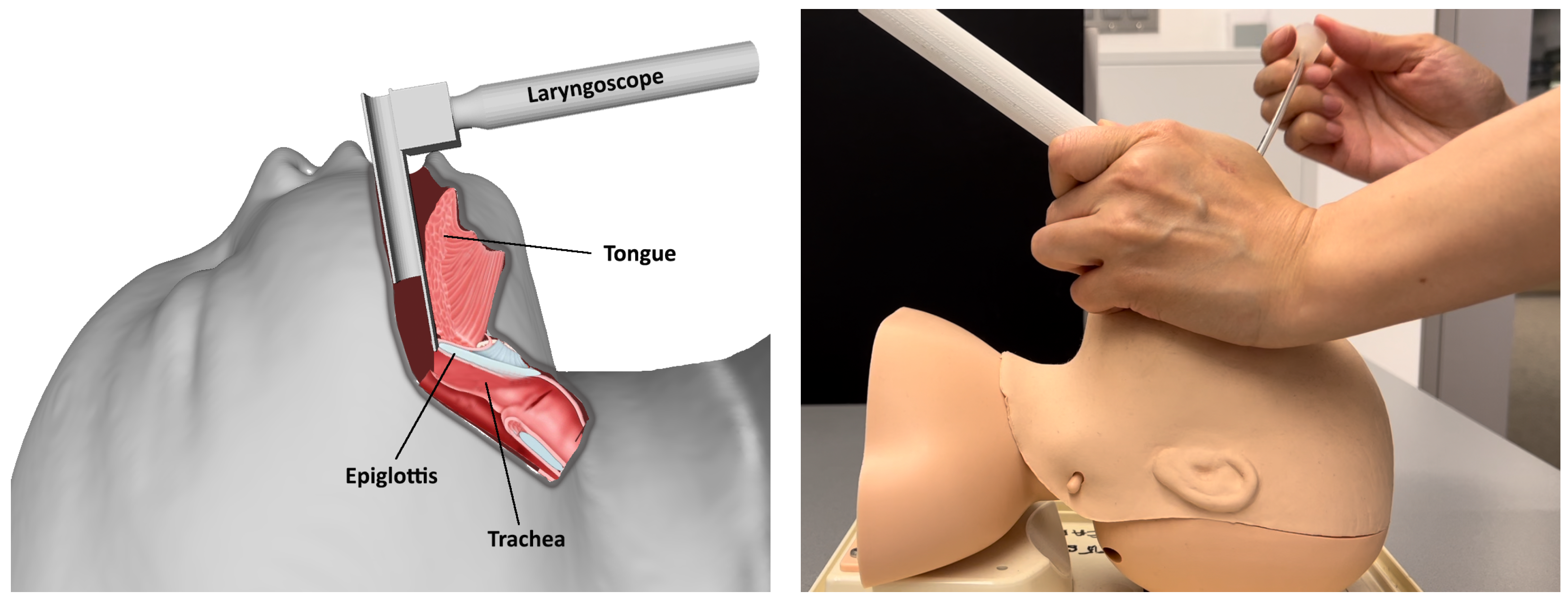 Virtualworlds 04 00020 g001