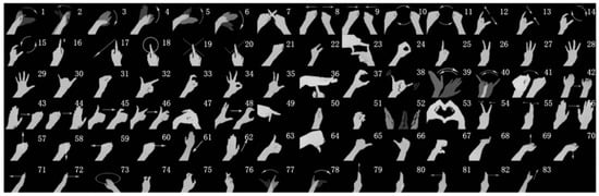 Visual overview of all 83 dynamic gesture categories used for gesture recognition training.