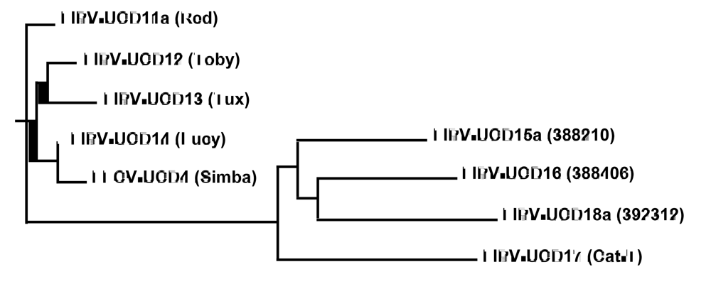 Viruses 01 00166 g001
