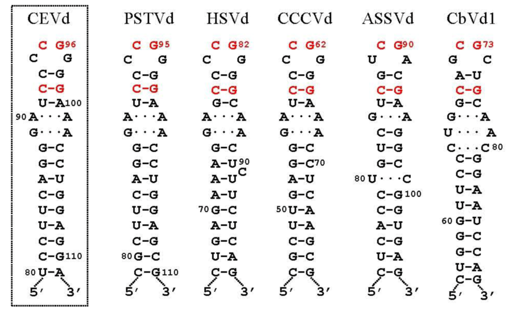 Viruses 01 00317 g002 1024