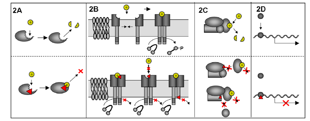 Viruses 01 00420 g002 1024