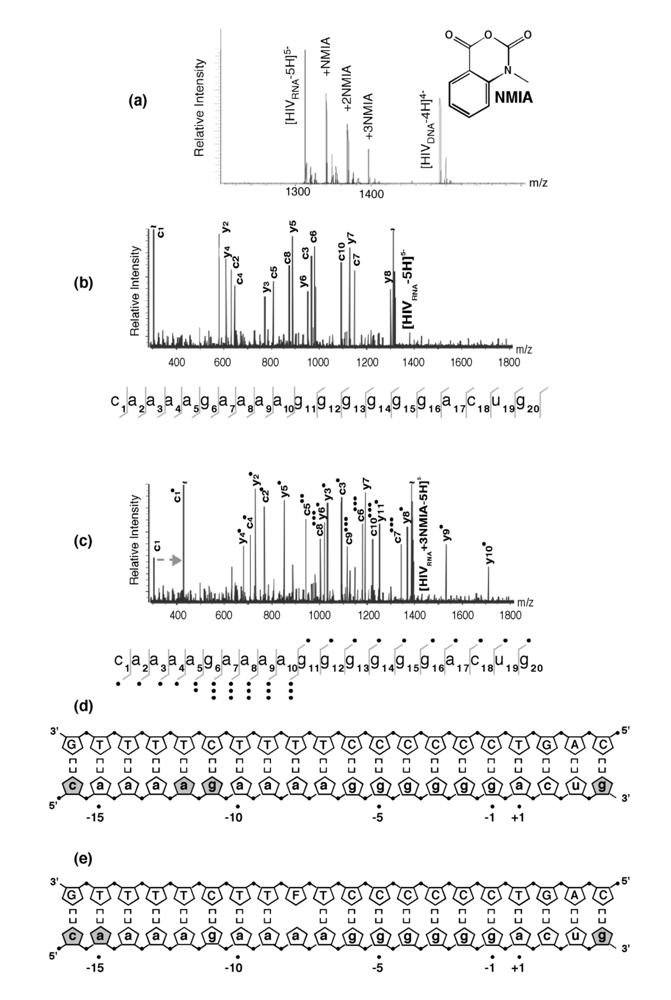 Viruses 01 00657 g004 1024