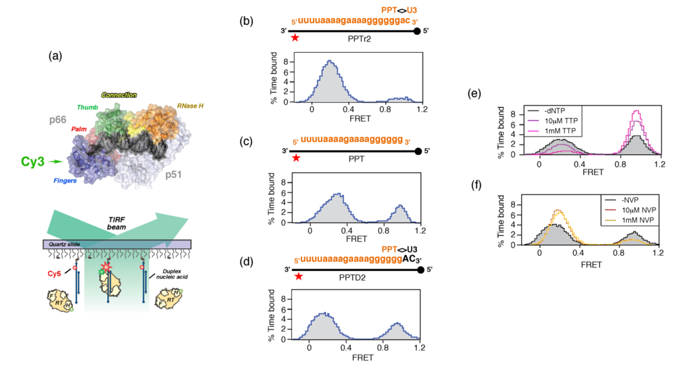 Viruses 01 00657 g005