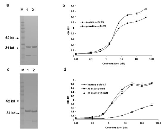 Viruses 01 00802 g001 550