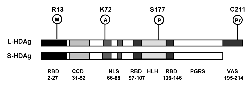 Viruses 01 00818 g002 1024